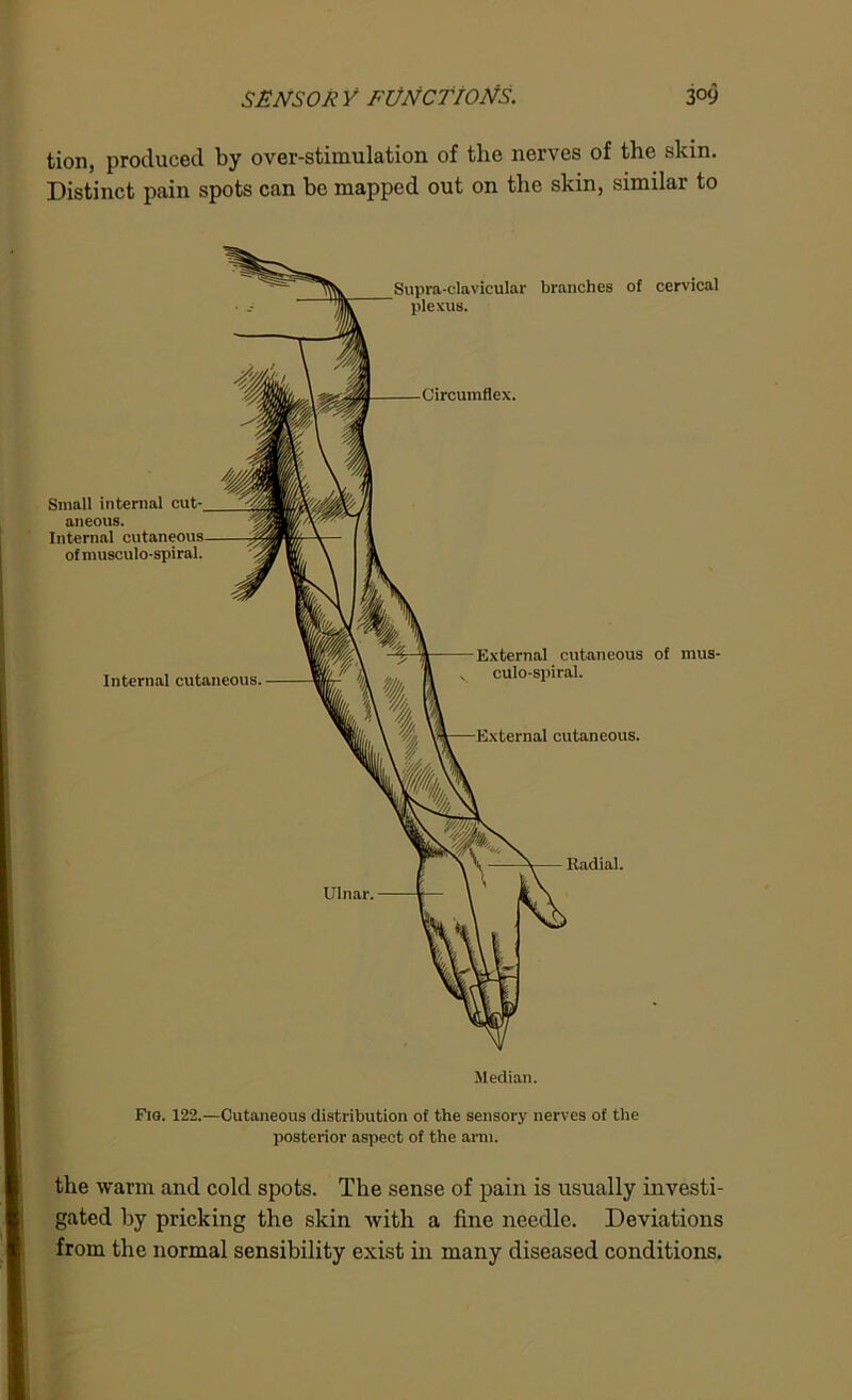tion, produced by over-stimulation of the nerves of the skin. Distinct pain spots can be mapped out on the skin, similar to Median. Fig. 122.—Cutaneous distribution of the sensory nerves of the posterior aspect of the arm. the warm and cold spots. The sense of pain is usually investi- gated by pricking the skin with a fine needle. Deviations from the normal sensibility exist in many diseased conditions.