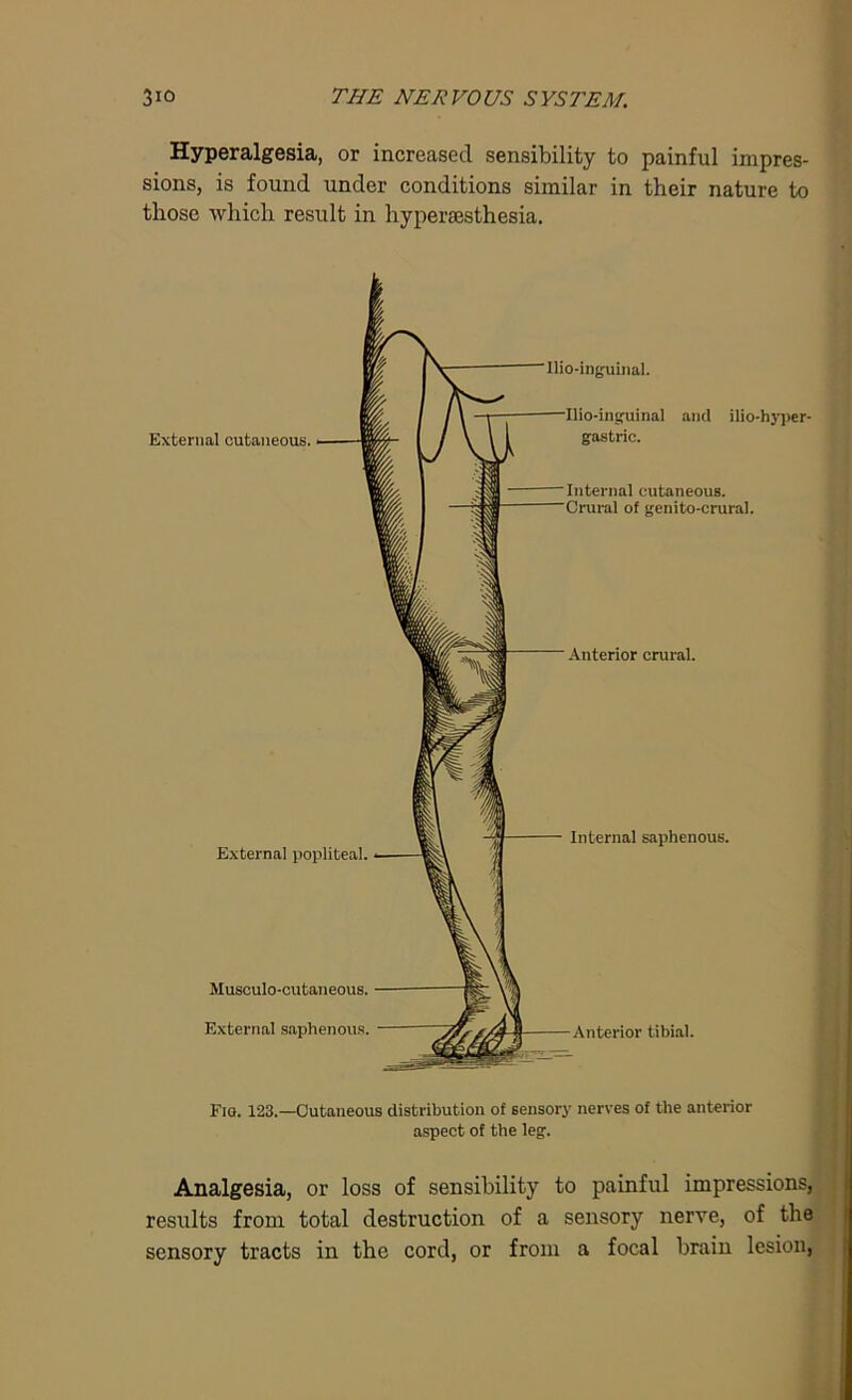Hyperalgesia, or increased sensibility to painful impres- sions, is found under conditions similar in their nature to those which result in hypersesthesia. External cutaneous. External popliteal Musculo-cutaneous. External saphenous Ilio-inguinal. Ilio-inguinal and ilio-hyper- gastric. Internal cutaneous. Crural of genito-crural. Anterior crural. Internal saphenous. Anterior tibial. Fio. 123.—Cutaneous distribution of sensory nerves of the anterior aspect of the leg. * Analgesia, or loss of sensibility to painful impressions, results from total destruction of a sensory nerve, of the sensory tracts in the cord, or from a focal brain lesion,
