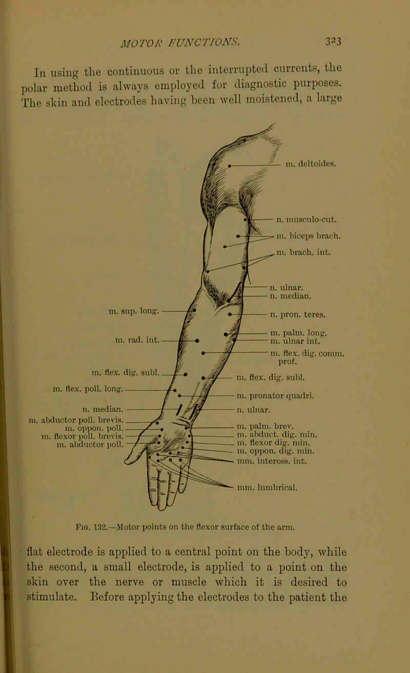 In using the continuous or the interrupted currents, the polar method is always employed for diagnostic purposes. The skin and electrodes having been well moistened, a large m. flex. dig. subl m. flex. poll. long. n. median, m. abductor poll, brevis. m. oppon. poll, m. flexor poll, brevis, m. abductor poll. 111. sup. long 111. rad. int n. musculo-cut. in. biceps brach. 111. brach. int. n. ulnar, n. median. II. pron. teres. III. palm. long. 111. ulnar int. 111. flex. dig. comm, prof. m. flex. dig. subl. 111. pronator quadri. n. ulnar. 111. palm. brev. 111. abduct, dig. min. 111. flexor dig. mill. 111. oppon. dig. min. mm. inteross. int. m. deltoides. mm. lumbrical. Fio. 132.—Motor points on the flexor surface of the arm. flat electrode is applied to a central point on the body, while the second, a small electrode, is applied to a point on the skin over the nerve or muscle which it is desired to stimulate. Before applying the electrodes to the patient the