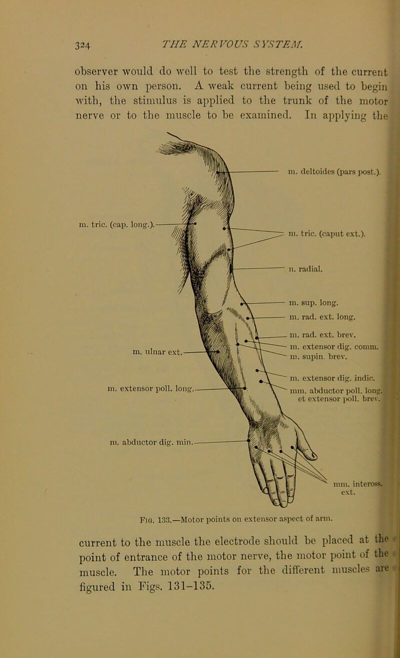 observer would do well to test the strength of the current on his own person. A weak current being used to begin with, the stimulus is applied to the trunk of the motor nerve or to the muscle to he examined. In applying the m. trie. (cap. long.). m. ulnar ext. m. extensor poll, long in. abductor dig. min. m. deltoides (pars post.). m. trie, (caput ext.). n. radial. m. sup. long, m. rad. ext. long. m. rad. ext. brer, m. extensor dig. comm, m. supin. brev. in. extensor dig. indie, j mm. abductor poll. long, et extensor poll. brev. linn, inteross. ext. Fio. 133.—Motor points on extensor aspect of arm. current to the muscle the electrode should he placed at the point of entrance of the motor nerve, the motor point of the muscle. The motor points for the different muscles are figured in Figs. 131-135.
