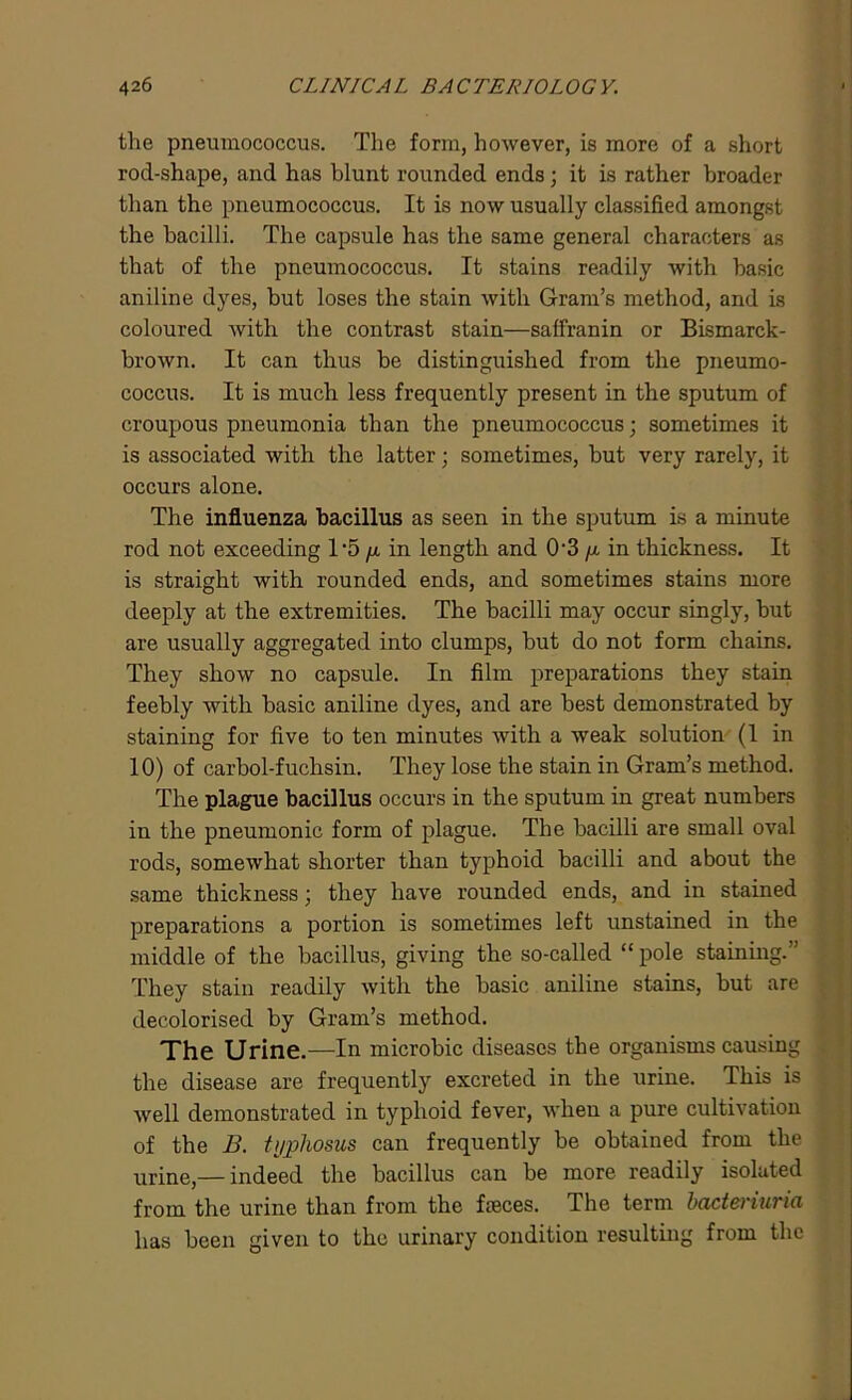the pneumococcus. The form, however, is more of a short rod-shape, and has blunt rounded ends; it is rather broader than the pneumococcus. It is now usually classified amongst the bacilli. The capsule has the same general characters as that of the pneumococcus. It stains readily with basic aniline dyes, but loses the stain with Gram’s method, and is coloured with the contrast stain—saffranin or Bismarck- brown. It can thus be distinguished from the pneumo- coccus. It is much less frequently present in the sputum of croupous pneumonia than the pneumococcus; sometimes it is associated with the latter; sometimes, but very rarely, it occurs alone. The influenza bacillus as seen in the sputum is a minute rod not exceeding T5 p in length and 0-3 /x in thickness. It is straight with rounded ends, and sometimes stains more deeply at the extremities. The bacilli may occur singly, but are usually aggregated into clumps, but do not form chains. They show no capsule. In film preparations they stain feebly with basic aniline dyes, and are best demonstrated by staining for five to ten minutes with a weak solution (1 in 10) of carbol-fuchsin. They lose the stain in Gram’s method. The plague bacillus occurs in the sputum in great numbers in the pneumonic form of plague. The bacilli are small oval rods, somewhat shorter than typhoid bacilli and about the same thickness; they have rounded ends, and in stained preparations a portion is sometimes left unstained in the middle of the bacillus, giving the so-called “ pole staining.’' They stain readily with the basic aniline stains, but are decolorised by Gram’s method. The Urine.—In microbic diseases the organisms causing the disease are frequently excreted in the urine. This is well demonstrated in typhoid fever, when a pure cultivation of the B. typhosus can frequently be obtained from the urine,—indeed the bacillus can be more readily isolated from the urine than from the fieces. The term bacteviuna has been given to the urinary condition resulting from the