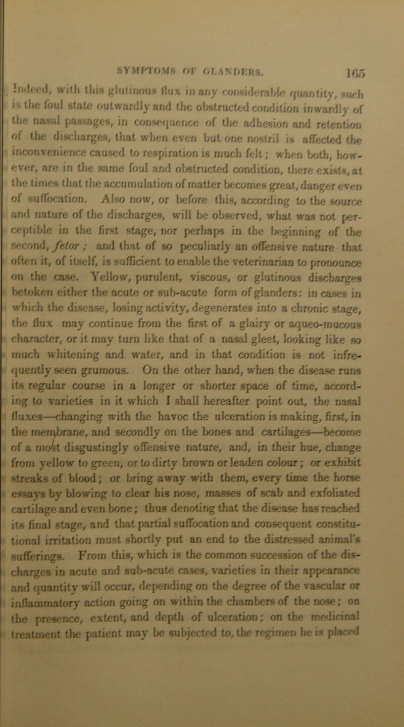 SYMI'TOMH OF Of.AN OF.KS. |fJ/5 Indeed, with tins glutinous flux in any considerable quantity, such i»the foul state outwardly and the obstructed condition inwardly of 'h;- nasal pas ages, in consequence of the adhesion and retention of the discharges, that when even but one nostril is affected the inconvenience caused to respiration is much felt; when both, how- ever, are in the same foul and obstructed condition, there exists, at the times that the accumulation of matter become - great, danger even of suffocation. Also now, or before this, according to the source and nature of the discharges, will he observed, what was not per- ceptible in the first stage, nor perhaps in the beginning of the second, /e/or / and that of so peculiarly an offensive nature that often it, of itself, is sufficient to enable the veterinarian to pronounce on the case. Yellow, purulent, viscous, or glutinous discharges betoken either the acute or sub-acute form of glanders: in cases in which the disease, losing activity, degenerates into a chronic stage, the flux may continue from the first of a glairy or aqueo-mucous character, or it may turn like that of a nasal gleet, looking like so much whitening and water, and in that condition is not infre- quently seen grumous. On the other hand, when the disease runs its regular course in a longer or shorter space of time, accord- ing to varieties in it which I shall hereafter point out, the nasal fluxes—changing w ith the havoc the ulceration is making, first, in the membrane, and secondly ort the bones and cartilages—become of a most disgustingly offensive nature, and, in their hue, change from yellow to green, or to dirty brown or leaden colour; or exhibit streaks of blood; or bring away with them, every time the horse essays by blowing to clear his nose, masses of scab and exfoliated cartilage and even bone; thus denoting that the disease has reached its final stage, and that partial suffocation and consequent constitu- tional irritation must shortly put an end to the distressed animal’s sufferings. From this, which is the common succession of the dis- charges in acute and sub-acute cases, varieties in their appearance and quantity will occur, depending on the degree of the vascular or inflammatory action going on within the chambers of the nose; on the presence, extent, and depth of ulceration; on the medicinal treatment the patient may be subjected to, the regimen he is placed