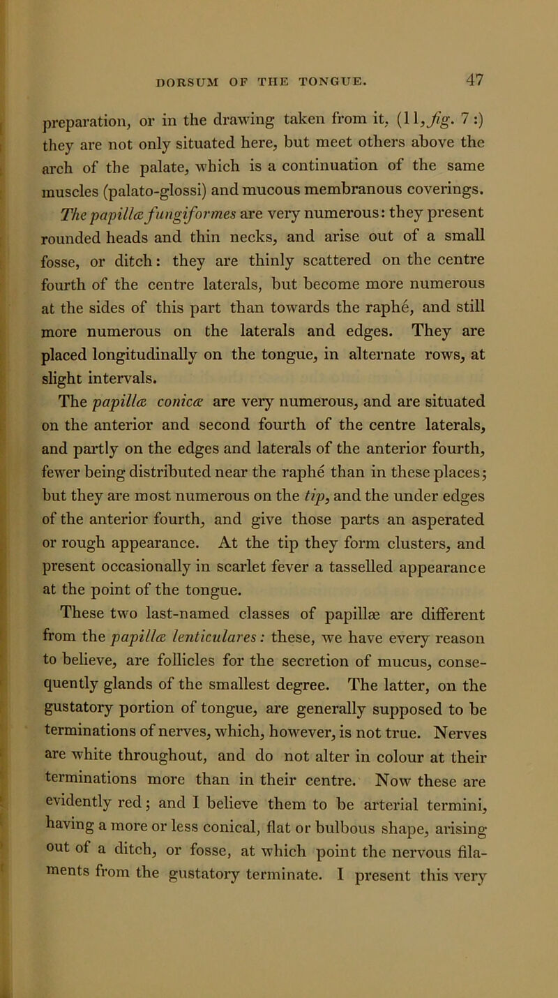 [ preparation, or in the drawing taken from it, 7:) t they are not only situated here, but meet others above the ; arch of the palate, which is a continuation of the same : muscles (palato-glossi) and mucous membranous coverings. The papilla f ungiformes are very numerous: they present rounded heads and thin necks, and arise out of a small fosse, or ditch: they are thinly scattered on the centre fourth of the centre laterals, but become more numerous at the sides of this part than towards the raphe, and still more numerous on the laterals and edges. They are t placed longitudinally on the tongue, in alternate rows, at t slight intervals. The papilla conica are very numerous, and are situated i on the anterior and second fourth of the centre laterals, and partly on the edges and laterals of the anterior fourth, fewer being distributed near the raphe than in these places; but they are most numerous on the tip, and the under edges of the anterior fourth, and give those parts an asperated V or rough appearance. At the tip they form clusters, and I present occasionally in scarlet fever a tasselled appearance f at the point of the tongue. ; These two last-named classes of papillm are different i from the papilla lenticulares: these, we have every reason ' to believe, are follicles for the secretion of mucus, conse- t quently glands of the smallest degree. The latter, on the gustatory portion of tongue, are generally supposed to be terminations of nerves, which, however, is not true. Nerves I are white throughout, and do not alter in colour at their ’ terminations more than in their centre. Now these are * evidently red; and I believe them to be arterial termini, ' having a more or less conical, flat or bulbous shape, aiising * out of a ditch, or fosse, at which point the nervous fila- f ments from the gustatory terminate. I pi’esent this very 1.