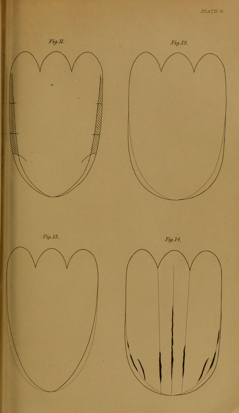 BLATE 4-. Fig.13. Fiff.ll.