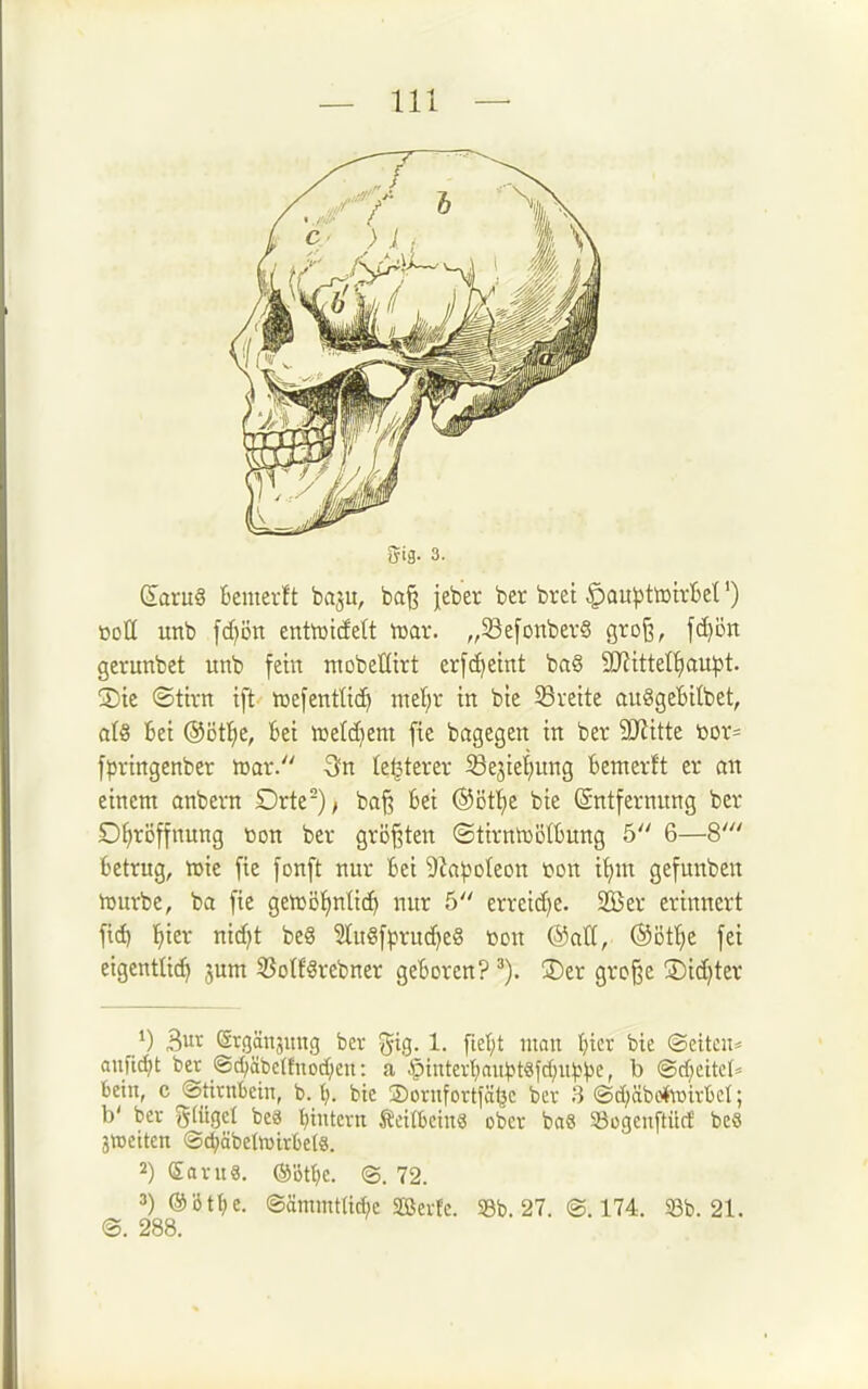5tg. 3. (£aru8 bemerlt baju, ba^ jeber ber brei ^au^jtttiitBet') »otC unb fd)ön entoidett tüar. „SefonberS qxo^, [c^de gerunbet unb fein ntobeUirt erfc^eint ba§ 9JiitteIf)au^t. !Die (Stirn ift lüefentließ mel;r in bte S3reite auSgeBitbet, ol8 6ei ©ötl^e, bei tDelc^em fie bagegen in ber Wütt 'oox- fpringenber ttjar. 3n (e^terer 33e5ief)ung bemerft er an einem anbern Drte)/ baf^ bei ©öf^e bie ©ntfernnng ber Ofiröffnung toon ber größten (Stirnmi3(bung 5 6—8' betrug, n^ie fie fonft nur bei ^fa^oleon loon iijnx gefunben ujurbc, ba fie gewöfinUc^ nur 5 erreicfje. 2Ber erinnert fic^ l^ter nid)t beS 2Iu«fpruc[)e8 toon @att, ©ötl^e fei eigentlich jum 5So(f«rebner geboren? ©er gro§e !5)ic[)ter ») 3ut Srgänjung ber gig. 1. [tel;t ntan tjtcr bie ©eilen:» au)td;t ber ®d;äbc(fnod;eu: a C>intert)au^t«fd;ii^>^)c, b @d;eitel* bein, c ©tirnbem, b. (). bie ®ornfortfäl3c ber H ©d)äb*üirbel; b' ber gütgcl bcä l)tutcvn Äcilbciuö ober bas ^öügenftücf beö jtt)Ctten @d)äbe(h)irbe(8. 2) Saniä. ®Dt()c. ©. 72. ®btt)e. ®ämmt(id)c SCBei-fc. 58b. 27. @. 174. 5Bb. 21. @. 288.