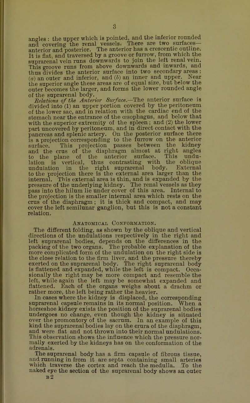 angleB : the upper which is pointed, and the inferior rounded and covering the renal vessels. There are two surfaces anterior and posterior. The anterior has a crescentic outline. It is flat, and traversed by a groove or furrow, from which the suprarenal vein runs downwards to join the left renal vein. This groove runs from above downwards and inwards, and thus divides the anterior surface into two secondary areas : (a) an outer and inferior, and (b) an inner and upper. Near the superior angle these areas are of equal size, but below the outer becomes the larger, and forms the lower rounded angle of the suprarenal body. Relations of the Anterior Surface— The anterior surface is divided into (1) an upper portion covered by the peritoneum of the lower sac, and in relation with the cardiac end of the stomach near the entrance of the oesophagus, and below that with the superior extremity of the spleen ; and (2) the lower part uncovered by peritoneum, and in direct contact with the pancreas and splenic artery. On the posterior surface there is a projection corresponding to the furrow on the anterior surface. This projection passes between the kidney and the crus of the diaphragm almost at right angles to the plane of the anterior surface. This undu- lation is vertical, thus contrasting with the oblique undulation in the right suprarenal body. External to the projection there is the external area larger than the internal. This external area is thin, and is expanded by the pressure of the underlying kidney. The renal vessels as they pass into the hilum lie under cover of this area. Internal to the projection is the smaller internal area which rests on the crus of the diaphragm ; it is thick and compact, and may cover the left semilunar ganglion, but this is not a constant relation. Anatomical Conformation. The different folding, as shown by the oblique and vertical directions of the undulations respectively in the right and left suprarenal bodies, depends on the differences in the packing of the two organs. The probable explanation of the more complicated form of the undulation on the right side is the close relation to the firm liver, and the pressure thereby exerted on the suprarenal body. The right suprarenal body is flattened and expanded, while the left is compact. Occa- sionally the right may be more compact and resemble the left, while again the left may be somewhat expanded and flattened. Each of the organs weighs about a drachm or rather more, the left being rather the heavier. In cases where the kidney is displaced, the corresponding suprarenal capsule remains in its normal position. When a horseshoe kidney exists the position of the suprarenal bodies undergoes no change, even though the kidney is situated over the promontory of the sacrum. In an example of this kind the suprarenal bodies lay on the crura of the diaphragm, and were flat and not thrown into their normal undulations. This observation shows the influence which the pressure nor- mally exerted by the kidneys has on the conformation of the adrenals. The suprarenal body has a firm capsule of fibrous tissue, and running in from it are septa containing small arteries which traverse the cortex and reach the medulla. To the naked eye the section of the suprarenal body shows an outer b 2