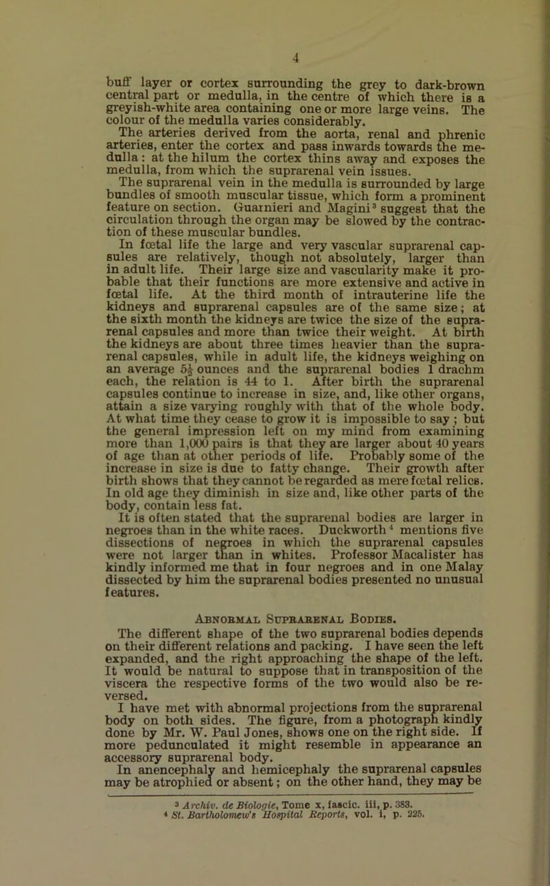 buff layer or cortex surrounding the grey to dark-brown central part or medulla, in the centre of which there is a greyish-white area containing one or more large veins. The colour of the medulla varies considerably. The arteries derived from the aorta, renal and phrenic arteries, enter the cortex and pass inwards towards the me- dulla : at the hilum the cortex thins away and exposes the medulla, from which the suprarenal vein issues. The suprarenal vein in the medulla is surrounded by large bundles of smooth muscular tissue, which form a prominent feature on section. Guatnieri and Magini3 4 suggest that the circulation through the organ may be slowed by the contrac- tion of these muscular bundles. In foetal life the large and very vascular suprarenal cap- sules are relatively, though not absolutely, larger than in adult life. Their large size and vascularity make it pro- bable that their functions are more extensive and active in foetal life. At the third month of intrauterine life the kidneys and suprarenal capsules are of the same size; at the sixth month the kidneys are twice the size of the supra- renal capsules and more than twice their weight. At birth the kidneys are about three times heavier than the supra- renal capsules, while in adult life, the kidneys weighing on an average ounces and the suprarenal bodies 1 drachm each, the relation is 44 to 1. After birth the suprarenal capsules continue to increase in size, and, like other organs, attain a size varying roughly with that of the whole body. At what time they cease to grow it is impossible to say ; but the general impression left on my mind from examining more than 1,000 pairs is that they are larger about 40 years of age than at other periods of life. Probably some of the increase in size is due to fatty change. Their growth after birth shows that they cannot be regarded as mere foetal relics. In old age they diminish in size and, like other parts of the body, contain less fat. It is often stated that the suprarenal bodies are larger in negroes than in the white races. Duckworth 1 mentions five dissections of negroes in which the suprarenal capsules were not larger than in whites. Professor Macalister has kindly informed me that in four negroes and in one Malay dissected by him the suprarenal bodies presented no unusual features. Abnobmal Supbabenal Bodies. The different shape of the two suprarenal bodies depends on their different relations and packing. I have seen the left expanded, and the right approaching the shape of the left. It would be natural to suppose that in transposition of the viscera the respective forms of the two would also be re- versed. I have met with abnormal projections from the suprarenal body on both sides. The figure, from a photograph kindly done by Mr. W. Paul Jones, shows one on the right side. If more pedunculated it might resemble in appearance an accessory suprarenal body. In anencephaly and hemicephaly the suprarenal capsules may be atrophied or absent; on the other hand, they may be 3 A rchiv. de Biologic, Tome x, fascic. iii, p. 383. 4 St. Bartholomew's Hospital Reports, vol. i, p. 225.