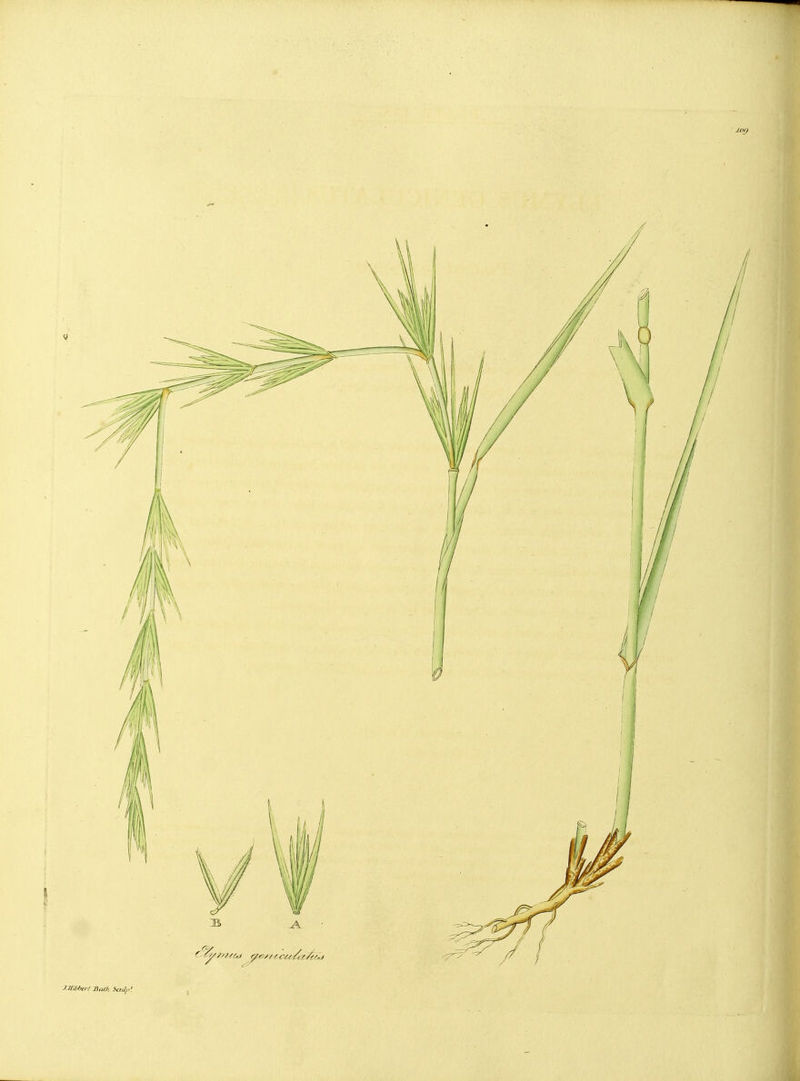 J.H'Mirl 3ack fcti//''.