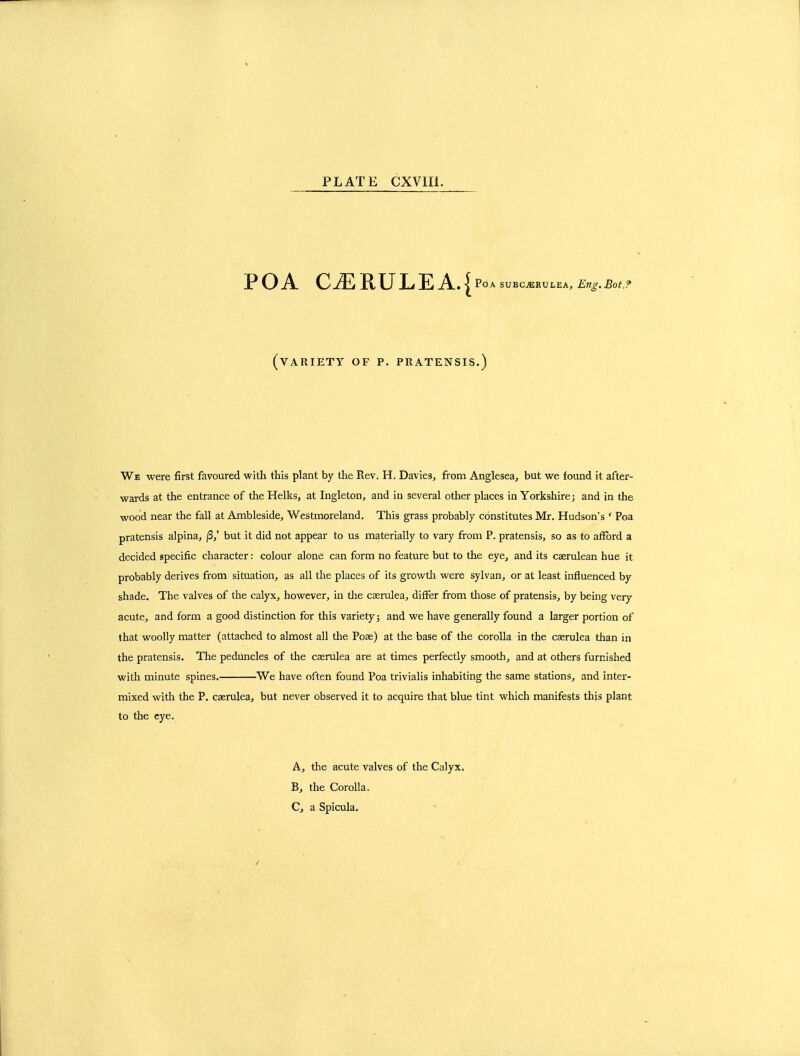 POA C^RULEAJ POA SUBC-ERULEA, Eng.Bot.? (variety of p. pratensis.) We were first favoured with this plant by the Rev. H. Davies, from Anglesea, but we found it after- wards at the entrance of the Helks, at Ingleton, and in several other places in Yorkshire; and in the wood near the fall at Ambleside, Westmoreland, This grass probably constitutes Mr. Hudson's ' Poa pratensis alpina, /3,' but it did not appear to us materially to vary from P. pratensis, so as to afford a decided specific character: colour alone can form no feature but to the eye, and its caerulean hue it probably derives from situation, as all the places of its growtli were sylvan, or at least influenced by shade. The valves of the calyx, however, in tlie caerulea, differ from those of pratensis, by being very acute, and form a good distinction for this variety j and we have generally found a larger portion of that woolly matter (attached to almost all the Poae) at the base of the corolla in the caerulea than in the pratensis. The peduncles of the caerulea are at times perfectly smooth, and at others furnished with minute spines, We have often found Poa trivialis inhabiting the same stations, and inter- mixed with the P. caerulea, but never observed it to acquire that blue tint which manifests this plant to the eye. A, the acute valves of the Calyx. B, the Corolla. C, a Spicula.