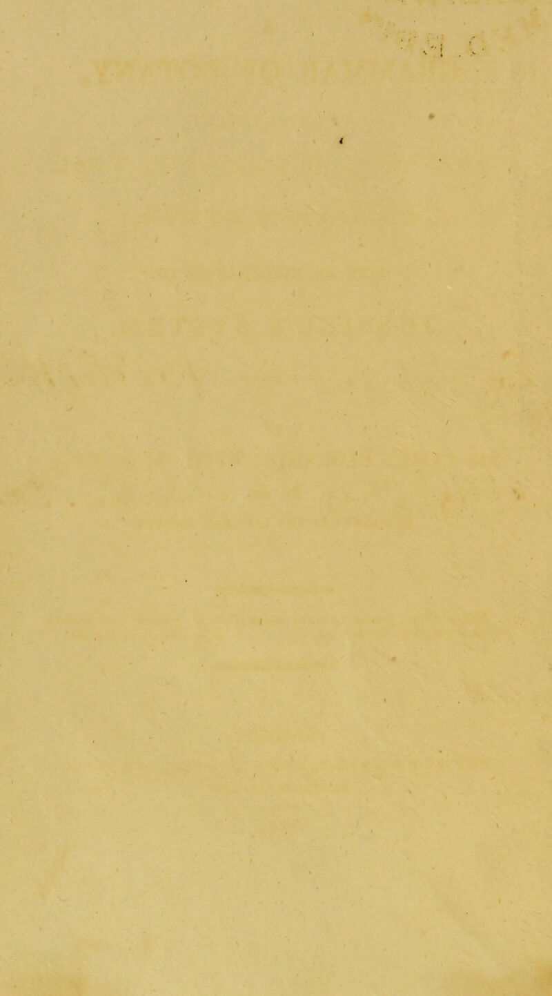 >*'j V. ■■A.:., . r-> f ^ i ! 1 4 X W'<^ :''•: > I : ^r-3 ^ V }'■■. . '■ ■' *' ' . ' * •> ( ' > t t ■S. % I > i V ^ > > L? \ r-->