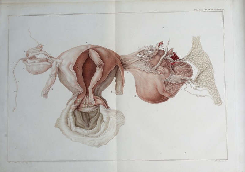 Thiios.TrcmsMDCOZ^.riateyi.p.Me.