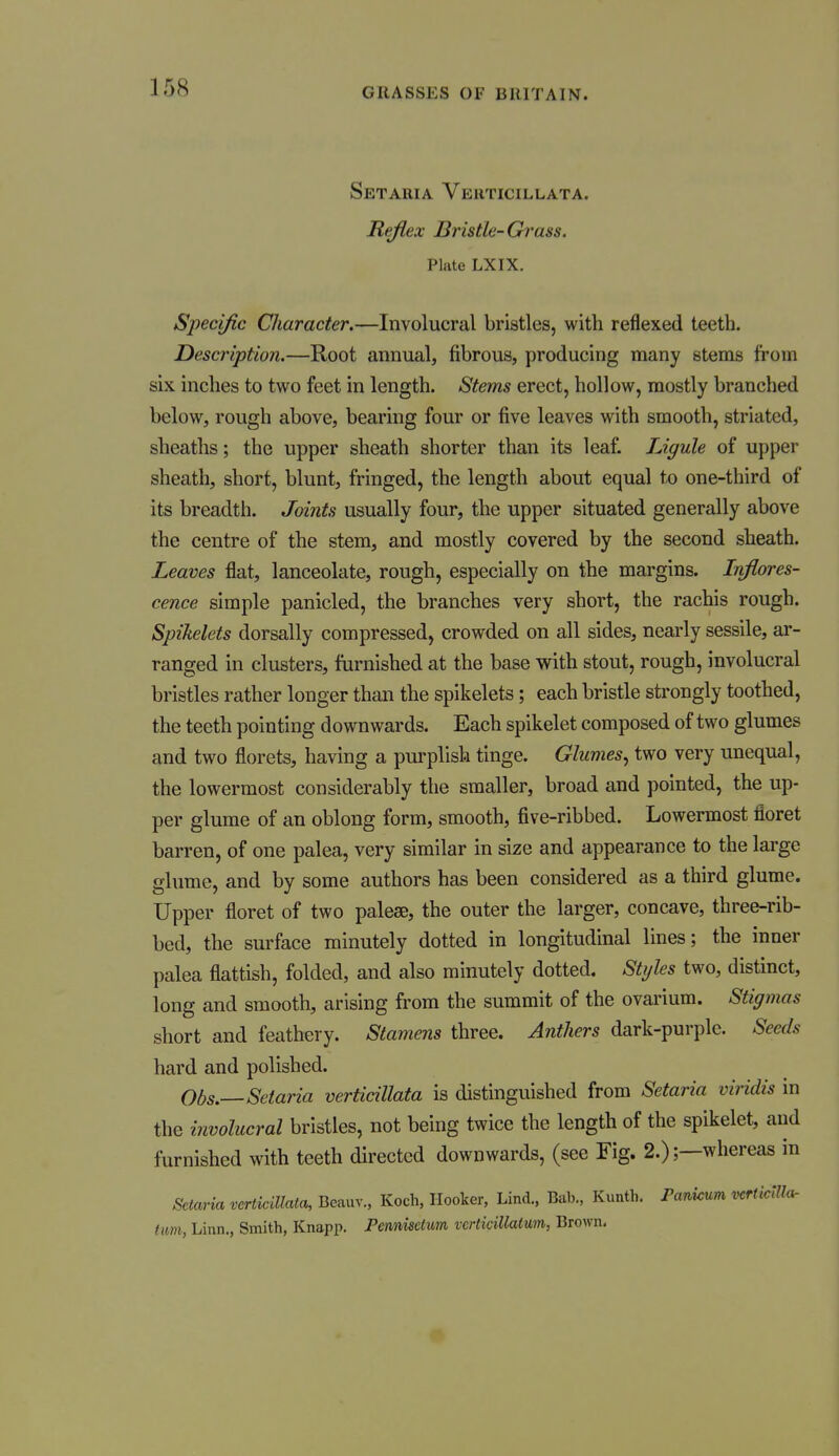 Setaria Verticillata. Reflex Bristle- Grass. Plate LXIX. Specific Character,—Involucral bristles, with reflexed teeth. Description.—Root annual, fibrous, producing many stems from six inches to two feet in length. Stems erect, hollow, mostly branched below, rough above, bearing four or five leaves with smooth, striated, sheaths; the upper sheath shorter than its leaf. Ligule of upper sheath, short, blunt, fringed, the length about equal to one-third of its breadth. Joints usually four, the upper situated generally above the centre of the stem, and mostly covered by the second sheath. Leaves flat, lanceolate, rough, especially on the margins. Inflores- cence simple panicled, the branches very short, the rachis rough. Spikelets dorsally compressed, crowded on all sides, nearly sessile, ar- ranged in clusters, famished at the base with stout, rough, involucral bristles rather longer than the spikelets; each bristle strongly toothed, the teeth pointing downwards. Each spikelet composed of two glumes and two florets, having a purplish tinge. Glumes., two very unequal, the lowermost considerably the smaller, broad and pointed, the up- per glume of an oblong form, smooth, five-ribbed. Lowermost floret barren, of one palea, very similar in size and appearance to the large glume, and by some authors has been considered as a third glume. Upper floret of two palese, the outer the larger, concave, three-rib- bed, the surface minutely dotted in longitudinal lines; the inner palea flattish, folded, and also minutely dotted. Styles two, distinct, long and smooth, arising from the summit of the ovarium. Stigmas short and feathery. Stamens three. Anthers dark-purple. Seeds hard and polished. Obs.—Setaria verticillata is distinguished from Setaria viridis in the involucral bristles, not being twice the length of the spikelet, and furnished with teeth directed downwards, (see Fig. 2.);—whereas in Setaria verticiUata, Beauv., Koch, Hooker, Lind.. Bab., Kunth. Fankum verticilla- tum, Linn., Smith, Knapp. Pmivisetum icrticillaimn, Brown.