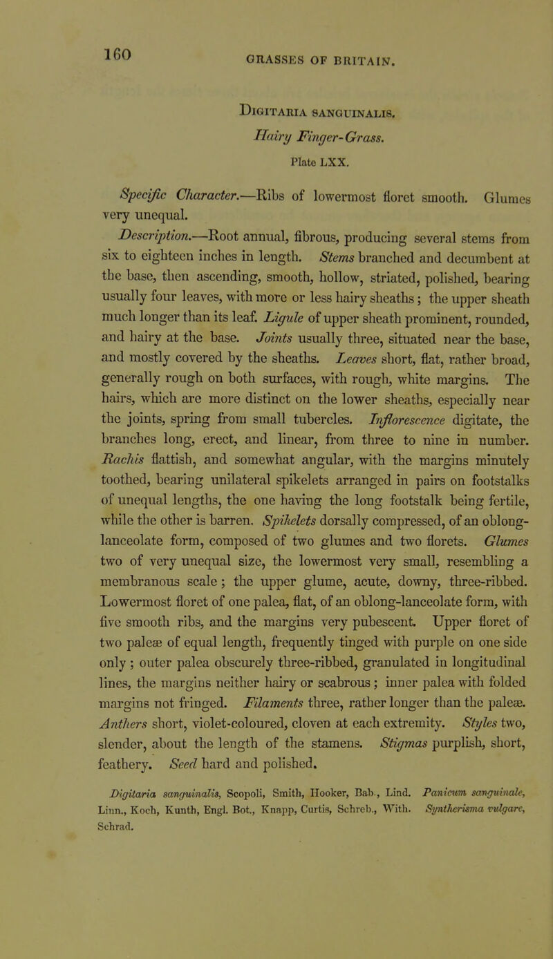 GRASSES OF BRITAIN. DiGITARIA 8ANGUINALI8. Hairy Finger-Grass. Plate LXX. Specific Character.—Ribs of lowermost floret smooth. Glumes very unequal. Description.—Root annual, fibrous, producing several stems from six to eighteen inches in length. Stems branched and decumbent at the base, tlien ascending, smooth, hollow, striated, polished, bearing usually four leaves, with more or less hairy sheaths; the upper sheath much longer than its leaf. Ligule of upper sheath prominent, rounded, and hairy at the base. Joints usually three, situated near the base, and mostly covered by the sheaths. Leaves short, flat, rather broad, generally rough on both surfaces, with rough, white margins. The hairs, which are more distinct on the lower sheaths, especially near the joints, spring from small tubercles. Inflorescence digitate, the branches long, erect, and linear, from three to nine in number. Rachis flattish, and somewhat angular, with the margins minutely toothed, bearing unilateral spikelets arranged in pairs on footstalks of unequal lengths, the one having the long footstalk being fertile, while the other is barren. Spihelets dorsally compressed, of an oblong- lanceolate form, composed of two glumes and two florets. Glumes two of very unequal size, the lowermost very small, resembling a membranous scale; the upper glume, acute, downy, three-ribbed. Lowermost floret of one palea, flat, of an oblong-lanceolate form, with five smooth ribs, and the margins very pubescent. Upper floret of two paleae of equal length, frequently tinged with purple on one side only ; outer palea obscurely three-ribbed, granulated in longitudinal lines, the margins neither hairy or scabrous; inner palea with folded margins not fringed. Filaments three, rather longer than the paleae. Anthers short, violet-coloured, cloven at each extremity. Sfj/les two, slender, about the length of the stamens. Stigmas purplish, short, feathery. Seed hard and polished. Digitaria sanguinalis, Scopoli, Smith, Hooker, Bah-, Lind. Paniaim san^juiiiale. Linn., Koch, Kunth, Engl. Bot., Knapp, Curtis, Schreb., With. Syntlwrisma vvlgare, Schrad.