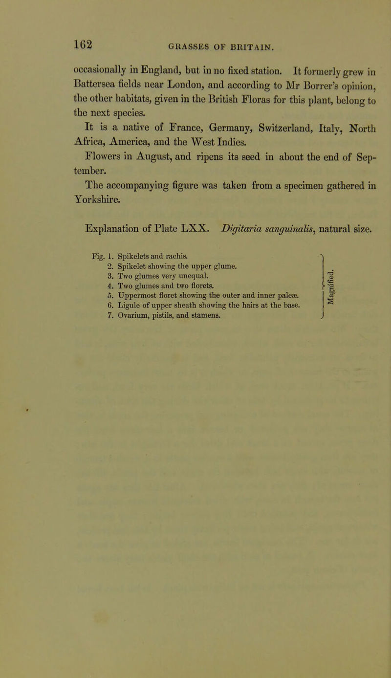 occasionally in England, but in no fixed station. It formerly grew in Battcrsea fields near London, and according to Mr Borrer's opinion, the other habitats, given in the British Floras for this plant, belong to the next species. It is a native of France, Germany, Switzerland, Italy, North Africa, America, and the West Indies. Flowers in August, and ripens its seed in about the end of Sep- tember. The accompanying figure was taken from a specimen gathered in Yorkshire. Explanation of Plate LXX. Digitaria sanguinalis^ natural size. Fig. 1. Spikelets and rachis. 2. Spikelet showing the upper glume. 3. Two glumes very unequal. 4. Two glumes and two florets, 6. Uppermost floret showing the outer and inner paleae. 6. Ligule of upper sheath showing the hairs at the base. 7. Ovarium, pistils, and stamens. 13 vt CS