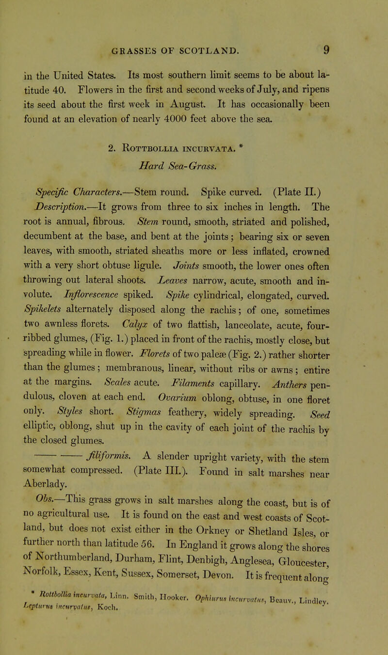 in the United States. Its most southern limit seems to be about la- titude 40. Flowers in the first and second weeks of July, and ripens its seed about the first week in August. It has occasionally been found at an elevation of nearly 4000 feet above the sea, 2. ROTTBOLLIA INCURVATA. * Hard Sea-Gross. Specific Characters.—Stem round. Spike curved. (Plate II.) Description.—It grows from three to six inches in length. The root is annual, fibrous. Stem round, smooth, striated and polished, decumbent at the base, and bent at the joints; bearing six or seven leaves, with smooth, striated sheaths more or less inflated, crowned with a very short obtuse ligule. Joints smooth, the lower ones often throwing out lateral shoots. Leaves narrow, acute, smooth and in- volute. Inflorescence spiked. Spike cylindrical, elongated, curved. Spikelets alternately disposed along the racliis; of one, sometimes two awnless florets. Calyx of two flattish, lanceolate, acute, four- ribbed glumes, (Fig. 1.) placed in front of the rachis, mostly close, but spreading while in flower. Florets of two paleae (Fig. 2.) rather shorter than the glumes ; membranous, linear, without ribs or awns ; entire at the margins. Scales acute. Filaments capillary. Anthers pen- dulous, cloven at each end. Ovarium oblong, obtuse, in one floret only. Styles short. Stigmas feathery, widely spreading. Seed elliptic, oblong, shut up in the cavity of each joint of the rachis by the closed glumes. Mformis. A slender upright variety, with the stem somewhat compressed. (Plate III.). Found in salt marshes near Aberlady. Oi5.—This grass grows in salt marshes along the coast, but is of no agricultural use. It is found on the east and west coasts of Scot- land, but does not exist either in the Orkney or Shetland Isles, or further north than latitude 56. In England it grows along the shores of Northumberland, Durham, Flint, Denbigh, Anglesea, Gloucester, Norfolk, Essex, Kent, Sussex, Somerset, Devon. It is frequent along ' Rottholliaincurvata,Uun. Smith, Hooker. OMi«r«« i«c„rm<„,, Beauv., Lindlev Lepturus incurvaliit, Koch,