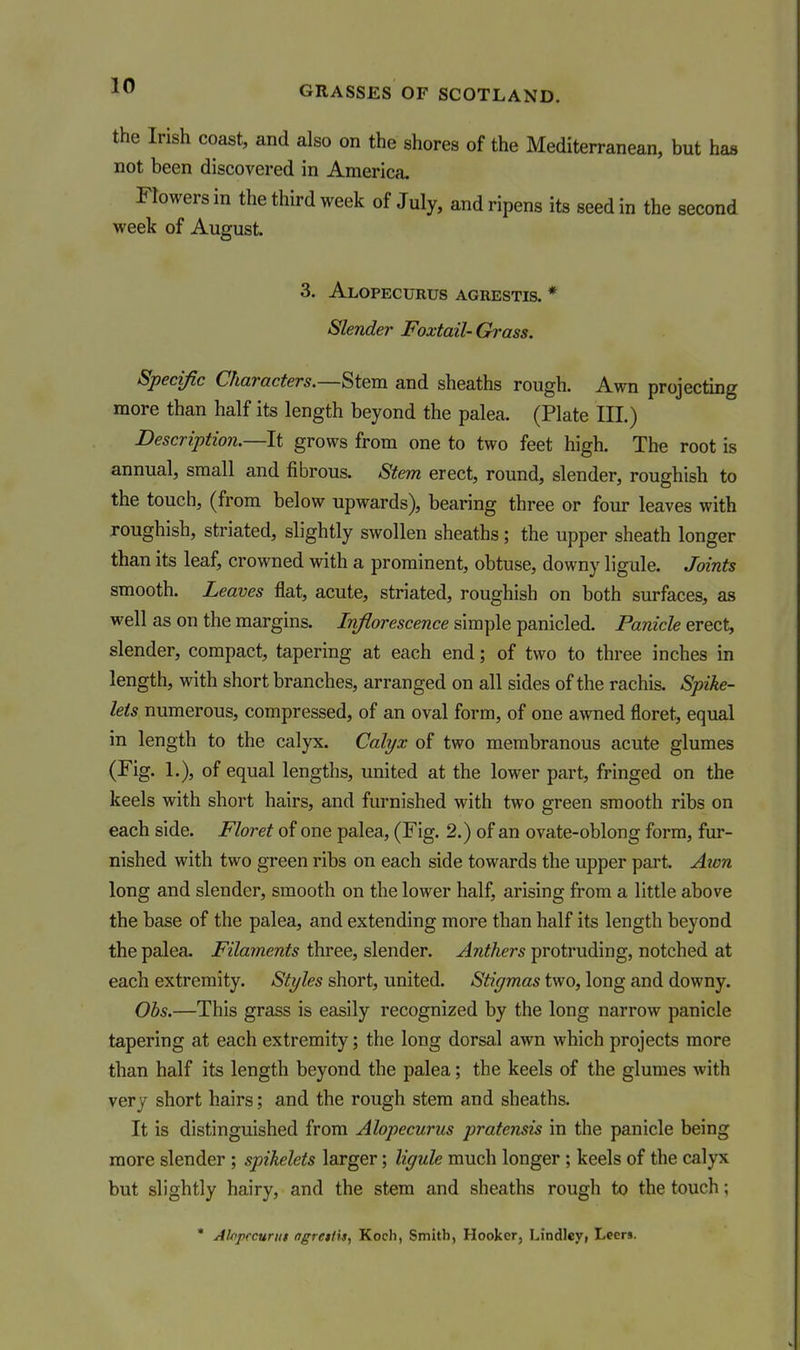 the Irish coast, and also on the shores of the Mediterranean, but has not been discovered in America, Flowers in the third week of July, and ripens its seed in the second week of August. 3. Alopecurus agrestis. * Slender Foxtail-Grass. Specific Characters.—Stem and sheaths rough. Awn projecting more than half its length beyond the palea. (Plate III.) Description.—It grows from one to two feet high. The root is annual, small and fibrous. Stem erect, round, slender, roughish to the touch, (from below upwards), bearing three or four leaves with roughish, striated, slightly swollen sheaths; the upper sheath longer than its leaf, crowned with a prominent, obtuse, downy ligule. Joints smooth. Leaves flat, acute, striated, roughish on both surfaces, as well as on the margins. Inflorescence simple panicled. Panicle erect, slender, compact, tapering at each end; of two to three inches in length, with short branches, arranged on all sides of the rachis. Spike- lets numerous, compressed, of an oval form, of one awned floret, equal in length to the calyx. Calyx of two membranous acute glumes (Fig. 1.), of equal lengths, united at the lower part, fringed on the keels with short hairs, and furnished with two green smooth ribs on each side. Floret of one palea, (Fig. 2.) of an ovate-oblong form, fur- nished with two green ribs on each side towards the upper part. Awn long and slender, smooth on the lower half, arising from a little above the base of the palea, and extending more than half its length beyond the palea. Filaments three, slender. Anthers protruding, notched at each extremity. Styles short, united. Stigmas two, long and downy. Obs.—This grass is easily recognized by the long narrow panicle tapering at each extremity; the long dorsal awn which projects more than half its length beyond the palea; the keels of the glumes with very short hairs; and the rough stem and sheaths. It is distinguished from Alopecurus pratensis in the panicle being more slender ; spikelets larger; liyule much longer ; keels of the calyx but slightly hairy, and the stem and sheaths rough to the touch; * Aloprcurut ngrettis, Koch, Smith, Hooker, Lindley* Leer*.