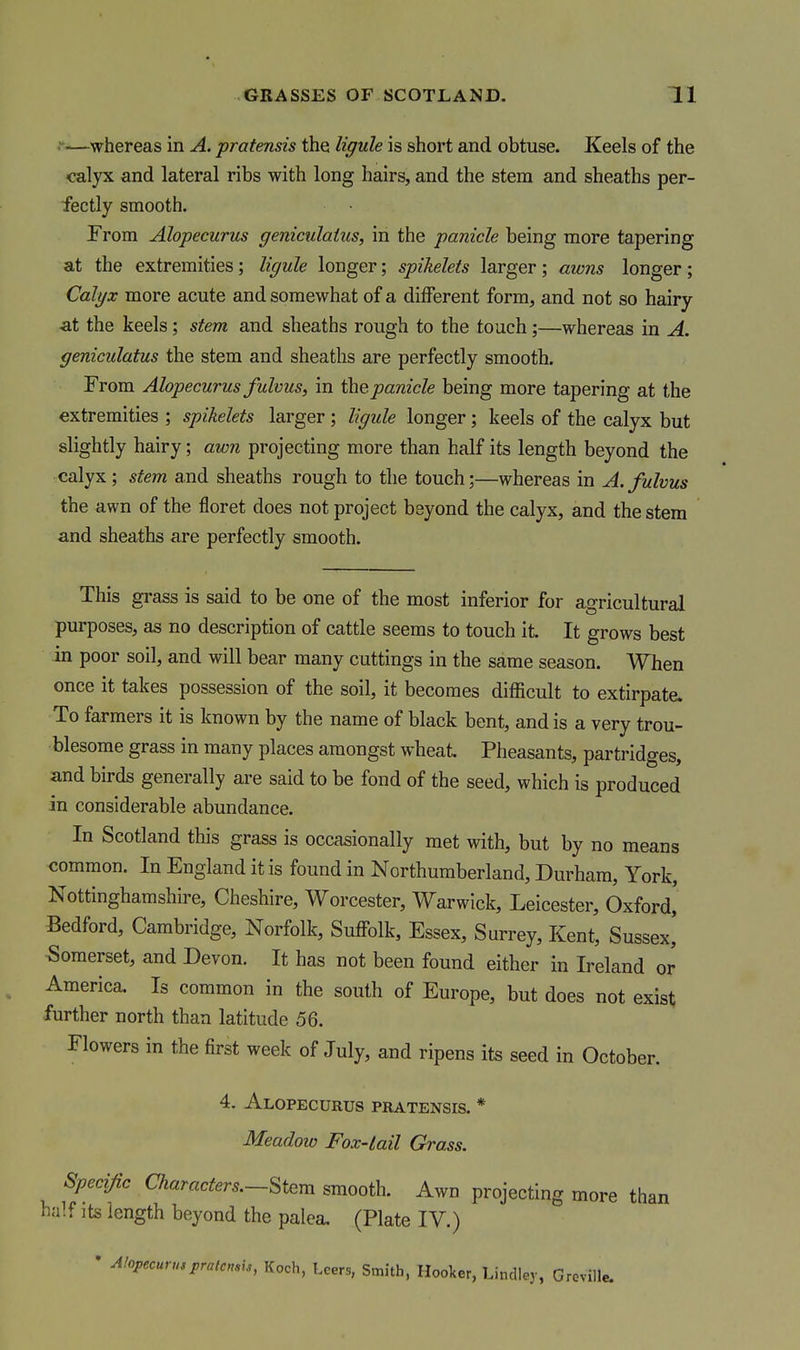 —whereas in A. pratensis the ligule is short and obtuse. Keels of the calyx and lateral ribs with long hairs, and the stem and sheaths per- fectly smooth. Trom Alopecurus geniculaius, in the panicle being more tapering at the extremities; ligule longer; spikelets larger ; awns longer; Calyx more acute and somewhat of a different form, and not so hairy ■at the keels; stem and sheaths rough to the touch;—whereas in A. geniculatus the stem and sheaths are perfectly smooth. From Alopecurus fulvus, in thepanicle being more tapering at the extremities ; spikelets larger ; ligule longer; keels of the calyx but slightly hairy; awn projecting more than half its length beyond the calyx ; stem and sheaths rough to the touch;—whereas in A. fulvus the awn of the floret does not project beyond the calyx, and the stem and sheaths are perfectly smooth. This grass is said to be one of the most inferior for agricultural purposes, as no description of cattle seems to touch it. It grows best in poor soil, and will bear many cuttings in the same season. When once it takes possession of the soil, it becomes difficult to extirpate. To farmers it is known by the name of black bent, and is a very trou- blesome grass in many places amongst wheat. Pheasants, partridges, and birds generally are said to be fond of the seed, which is produced in considerable abundance. In Scotland this grass is occasionally met with, but by no means common. In England it is found in Northumberland, Durham, York, Nottinghamshire, Cheshire, Worcester, Warwick, Leicester, Oxford,' Bedford, Cambridge, Norfolk, Suffolk, Essex, Surrey, Kent, Sussex,' Somerset, and Devon. It has not been found either in Ireland or America. Is common in the south of Europe, but does not exist; further north than latitude 56. Flowers in the first week of July, and ripens its seed in October. 4. Alopecurus pratensis. * Meadow Fox-tail Grass. Specific Characters.-Stem smooth. Awn projecting more than half its length beyond the palea. (Plate IV.) • Alopecuruspratcnm, Koch, Leers, Smith, Hooker, Lindiey, Greville.