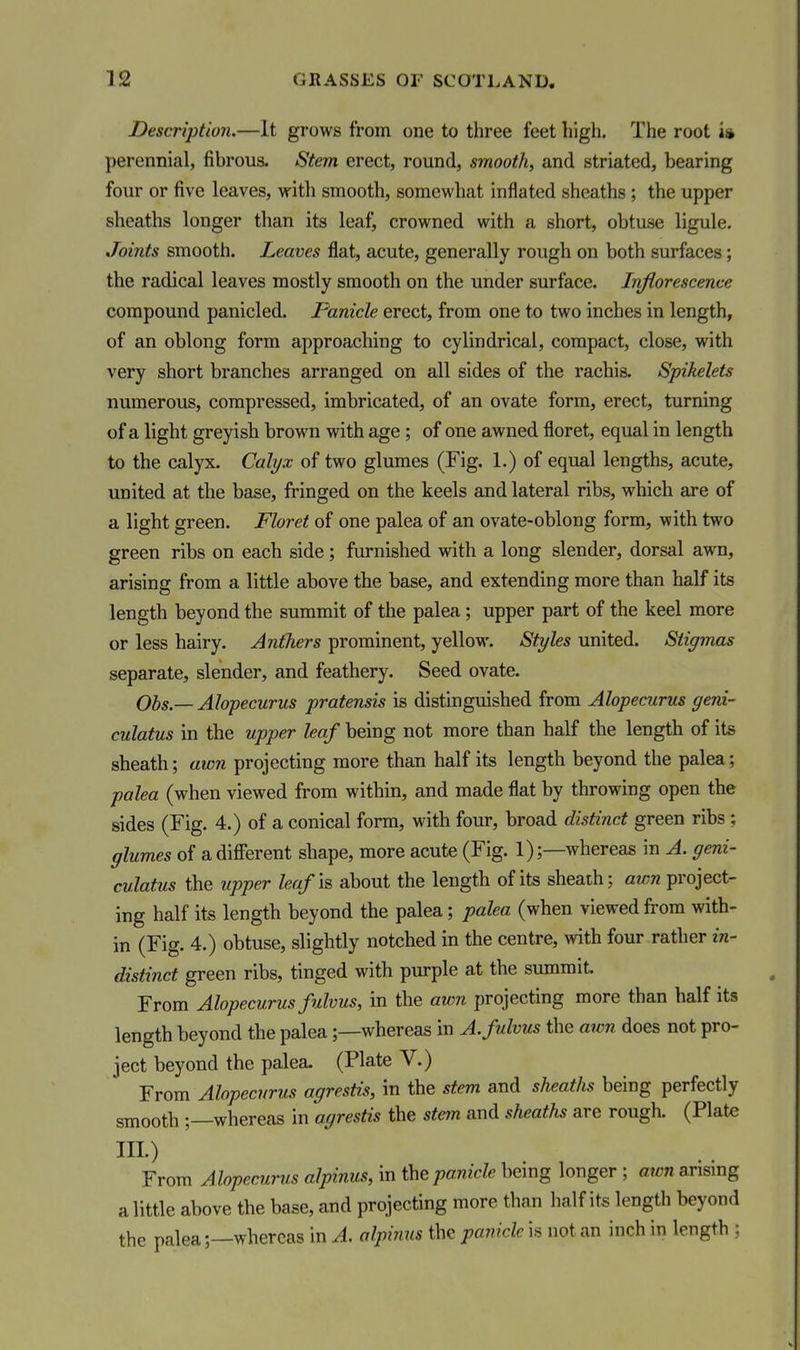 Description.—It grows from one to three feet high. The root i» perennial, fibrous. Stem erect, round, smooth, and striated, bearing four or five leaves, with smooth, somewhat inflated sheaths ; the upper sheaths longer than its leaf, crowned with a short, obtuse ligule. Joints smooth. Leaves flat, acute, generally rough on both surfaces; the radical leaves mostly smooth on the under surface. Inflorescence compound panicled. Panicle erect, from one to two inches in length, of an oblong form approaching to cylindrical, compact, close, with very short branches arranged on all sides of the rachis. Spikelets numerous, compressed, imbricated, of an ovate form, erect, turning of a light greyish brown with age; of one awned floret, equal in length to the calyx. Calyx of two glumes (Fig. 1.) of equal lengths, acute, united at the base, fringed on the keels and lateral ribs, which are of a light green. Floret of one palea of an ovate-oblong form, with two green ribs on each side; furnished with a long slender, dorsal avra, arising from a little above the base, and extending more than half its length beyond the summit of the palea; upper part of the keel more or less hairy. Anthers prominent, yellow. Styles united. Stiymas separate, slender, and feathery. Seed ovate. Obs — Alopecurus pratensis is distinguished from Alopecurus geni- culatus in the upper leaf being not more than half the length of its sheath; awn projecting more than half its length beyond the palea; palea (when viewed from within, and made flat by throwing open the sides (Fig. 4.) of a conical form, with four, broad distinct green ribs ; glumes of a different shape, more acute (Fig. 1);—whereas in A. geni- culatus the upper leaf is, about the length of its sheath; awn project- ing half its length beyond the palea; palea (when viewed from with- in (Fig. 4.) obtuse, slightly notched in the centre, with four rather in- distinct green ribs, tinged with purple at the summit From Alopecurus fulvus, in the awn projecting more than half its length beyond the palea;—whereas in A. fulvus the awn does not pro- ject beyond the palea. (Plate V.) From Alopecurus agrestis, in the stem and sheaths being perfectly smooth ;—whereas in agrestis the stem and sheaths are rough. (Plate III.) From Alopecurus alpinus, in the panicle being longer ; awn arismg a little above the base, and projecting more than half its length beyond the palea;—whereas in A. alpinus the panicle is not an inch in length ;