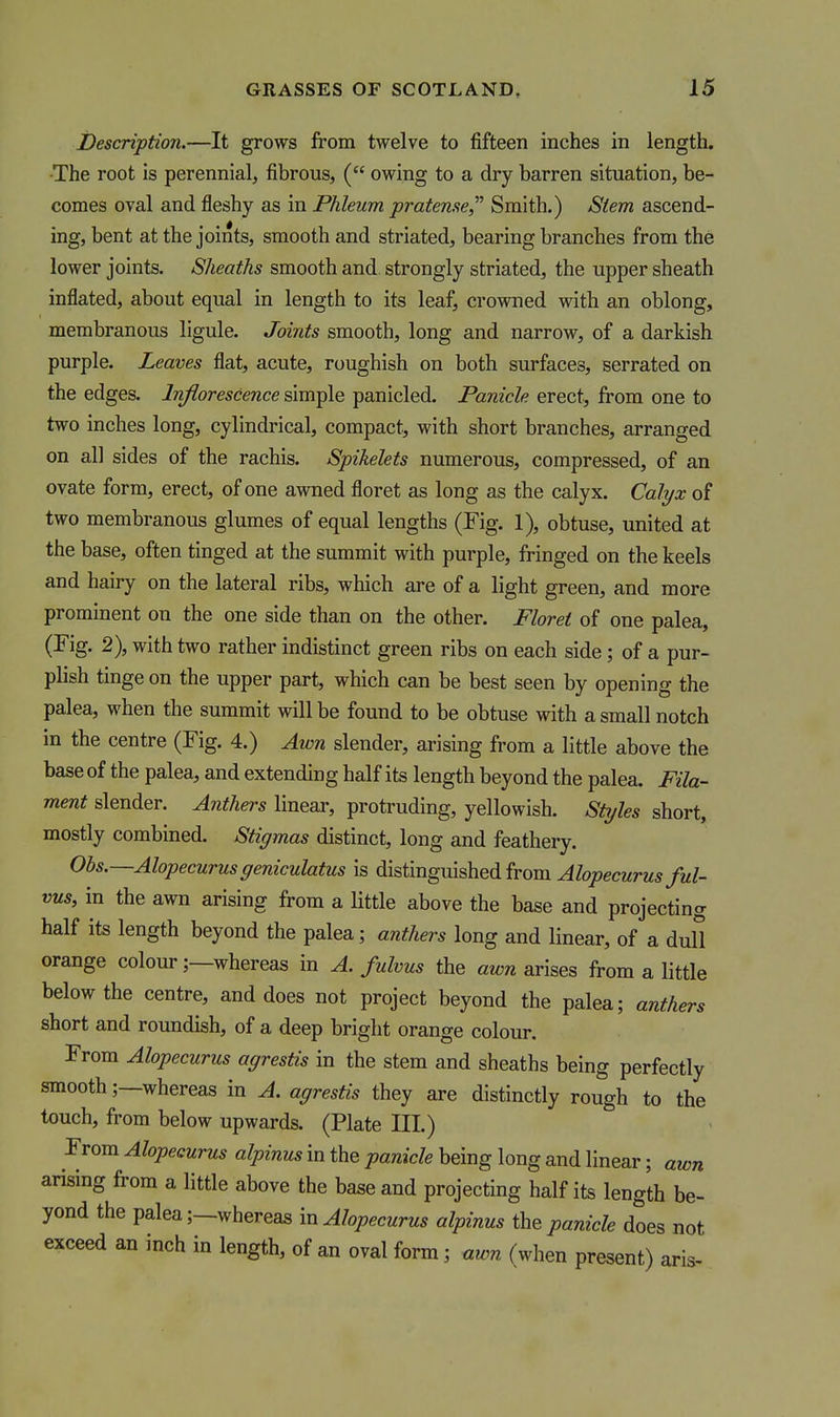 jbescription.—It grows from twelve to fifteen inches in length. •The root is perennial, fibrous, ( owing to a dry barren situation, be- comes oval and fleshy as in Phleum pratense,^^ Smith.) Stem ascend- ing, bent at the joints, smooth and striated, bearing branches from the lower joints. Sheaths smooth and strongly striated, the upper sheath inflated, about equal in length to its leaf, crowned with an oblong, membranous ligule. Joints smooth, long and narrow, of a darkish purple. Leaves flat, acute, roughish on both surfaces, serrated on the edges. Inflorescence simple panicled. Panicle erect, from one to two inches long, cylindrical, compact, with short branches, arranged on all sides of the rachis. Spikelets numerous, compressed, of an ovate form, erect, of one awned floret as long as the calyx. Calyx of two membranous glumes of equal lengths (Fig. 1), obtuse, united at the base, often tinged at the summit with purple, fringed on the keels and hairy on the lateral ribs, which are of a light green, and more prominent on the one side than on the other. Floret of one palea, (Fig. 2), with two rather indistinct green ribs on each side ; of a pur- plish tinge on the upper part, which can be best seen by opening the palea, when the summit will be found to be obtuse with a small notch in the centre (Fig. 4.) Awn slender, arising from a little above the base of the palea, and extending half its length beyond the palea. Fila- ment slender. Anthers linear, protruding, yellowish. Styles short, mostly combined. Stigmas distinct, long and feathery. Obs.—Alopecurusgeniculatus is distinguished from ^/ojoecMrMs/M/- vus, in the awn arising from a little above the base and projecting half its length beyond the palea; anthers long and linear, of a duU orange colour;—whereas in A. fulvus the awn arises from a little below the centre, and does not project beyond the palea; anthers short and roundish, of a deep bright orange colour. From Alopecurus agrestis in the stem and sheaths being perfectly smooth;—whereas in A. agrestis they are distinctly rough to the touch, from below upwards. (Plate III.) From Alopecurus alpinus in the panicle being long and linear; awn arising from a little above the base and projecting half its length be- yond the palea;—whereas m Alopecurus alpinus the panicle does not exceed an inch in length, of an oval form; awn (when present) aris-