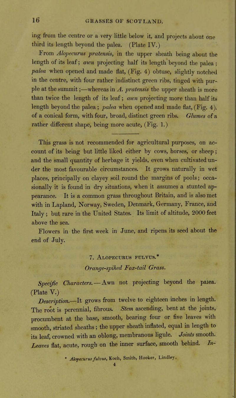 ing from the centre or a very little below it, and projects about one third its length beyond the palea. (Plate IV.) From Alopecurus pratensis, in the upper sheath being about the length of its leaf; mm projecting half its length beyond the palea ; palea when opened and made flat, (Fig. 4) obtuse, slightly notched in the centre, with four rather indistinct green ribs, tinged with pur- ple at the summit;—whereas in A. pratensis the upper sheath is more than twice the length of its leaf; awn projecting more than half its length beyond the palea; palea when opened and made flat, (Fig. 4). of a conical form, with four, broad, distinct green ribs. Glumes of a rather diflferent shape, being more acute, (Fig. 1.) This grass is not recommended for agricultural purposes, on ac- count of its being but little liked either by cows, horses, or sheep ; and the small quantity of herbage it yields, even when cultivated un- der the most favourable circumstances. It grows naturally in wet places, principally on clayey soil round the margins of pools; occa- sionally it is found in dry situations, when it assumes a stunted ap- pearance. It is a common grass throughout Britain, and is also met with in Lapland, Norway, Sweden, Denmark, Germany, France, and Italy ; but rare in the United States. Its limit of altitude, 2000 feet above the sea. Flowers in the first week in June, and ripens its seed about the end of July. 7. Alopecurus fulvus.* Orange-spiked Fox-tail Grass. Specific Characters. — Awn not projecting beyond the paiea. (Plate V.) Description.—It grows from twelve to eighteen inches in length. The root is perennial, fibrous. Stem ascending, bent at the joints, procumbent at the base, smooth, bearing four or five leaves with smooth, striated sheaths; the upper sheath inflated, equal in length to its leaf, crowned with an oblong, membranous ligule. Joints smooth. Leaves flat, acute, rough on the inner surface, smooth behind. In- * Alopecurus fulvui, Koch, Smith, Hooker, Lindley. 4