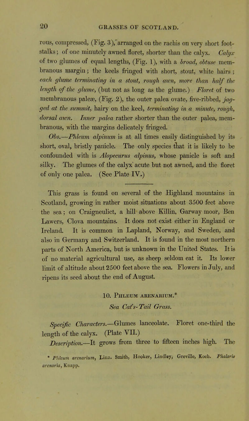 rous, compressed, (Fig. 3),'arranged on the rachis on very short foot- stalks ; of one minutely awned floret, shorter than the calyx. Calyx of two glumes of equal lengths, (Fig. 1), with a hroad, obtuse mem- branous margin; the keels fringed with short, stout, white hairs ; each glume terminating in a stout, rough awn, mare than half the length of the glume, (but not as long as the glume.) Floret of two membranous paleae, (Fig. 2), the outer palea ovate, five-ribbed, jag- ged at the summit, hairy on the keel, terminating in a minute, rough, dorsal awn. Inner palea rather shorter than the outer palea, mem- branous, with the margins delicately fringed. Ohs.—Phleum alpinum is at all times easily distinguished by its short, oval, bristly panicle. The only species that it is likely to be confounded vrith is Alopecurus alpinus, whose panicle is soft and silky. The glumes of the calyx acute but not awned, and the floret of only one palea. (See Plate IV.) This grass is found on several of the Highland mountains in Scotland, growing in rather moist situations about 3500 feet above the sea; on Craigneulict, a hill above Killin, Garway moor, Ben Lawers, Clova mountains. It does not exist either in England or Ireland. It is common in Lapland, Norway, and Sweden, and also in Germany and Switzerland. It is found in the most northern parts of North America, but is unknown in the United States. It is of no material agricultural use, as sheep seldom eat it Its lower limit of altitude about 2500 feet above the sea. Flowers in July, and ripens its seed about the end of August. 10. Phleum arenarium.* Sea Cats-Tail Grass. Specific Characters.—Glumes lanceolate. Floret one-third the length of the calyx. (Plate VII.) Description.—It grows from three to fifteen inches high. The • Pldeum arenarium, Linn. Smith, Hooker, Lindley,- Greville, Koch. Phalarit arenaria, Knapp.