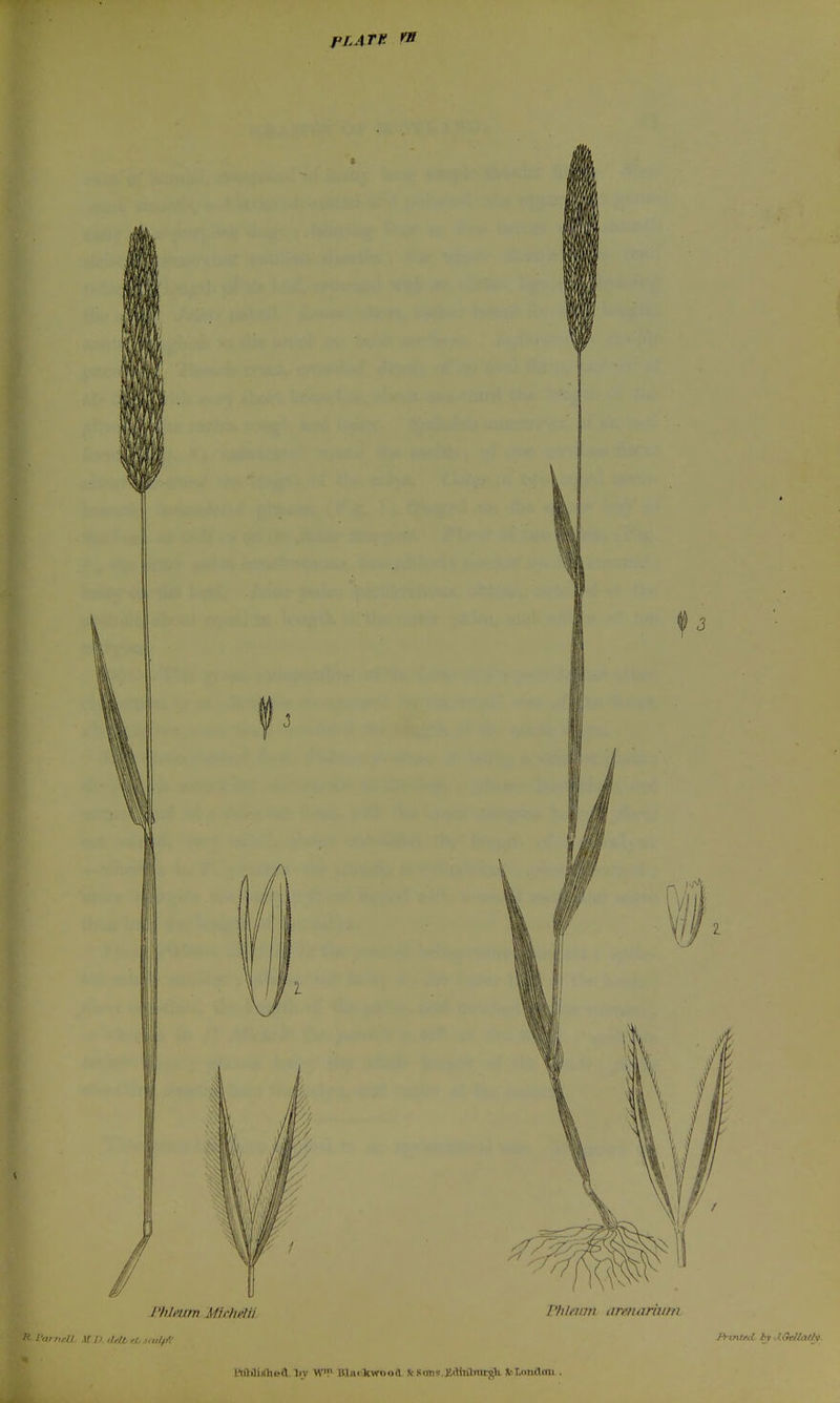 PL Am «y tlOilinlieiV liv WV Itliirliwixia ScSotio JidinlTurgh fcr.imCmi