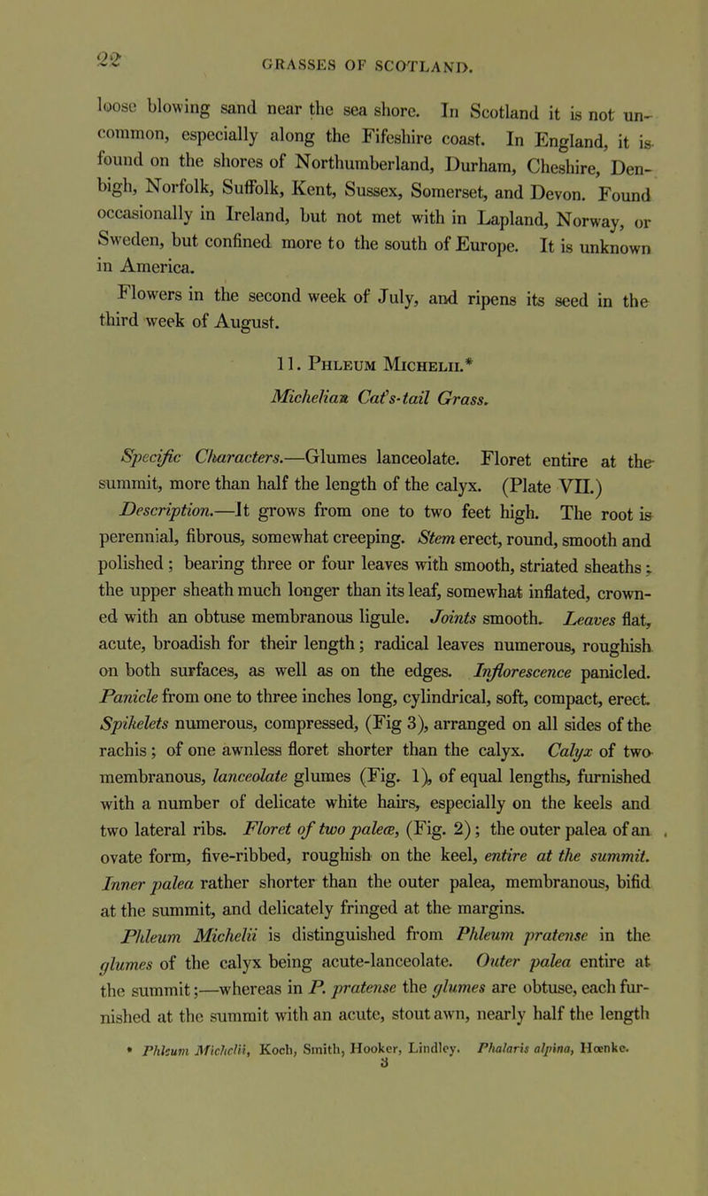 loose blowing sand near the sea shore. In Scotland it is not un- common, especially along the Fifeshire coast. In England, it is- found on the shores of Northumberland, Durham, Cheshire, Den- bigh, Norfolk, Suffolk, Kent, Sussex, Somerset, and Devon. Found occasionally in Ireland, but not met with in Lapland, Norway, or Sweden, but confined more to the south of Europe. It is unknown in America. Flowers in the second week of July, and ripens its seed in the third week of August. 11. Phleum Michelii.* Michelian Cat''s-tail Grass, Specific Characters.—Glumes lanceolate. Floret entire at the- summit, more than half the length of the calyx. (Plate VII.) Description.—It grows from one to two feet high. The root is perennial, fibrous, somewhat creeping. Stem erect, round, smooth and polished ; bearing three or four leaves with smooth, striated sheaths; the upper sheath much longer than its leaf, somewhat inflated, crown- ed with an obtuse membranous ligule. Joints smooth. Leaves flat, acute, broadish for their length; radical leaves numerous, roughish. on both surfaces, as well as on the edges. Inflorescence panicled. Panicle from one to three inches long, cylindrical, soft, compact, erect Spikelets numerous, compressed, (Fig 3), arranged on all sides of the rachis; of one awnless floret shorter than the calyx. Calyx of two- membranous, lanceolate glumes (Fig. 1), of equal lengths, furnished with a number of delicate white hairs, especially on the keels and two lateral ribs. Floret of two palea, (Fig. 2); the outer palea of an . ovate form, five-ribbed, roughish on the keel, entire at the summit. Inner palea rather shorter than the outer palea, membranous, bifid at the summit, and delicately fringed at the margins. Phleum Michelii is distinguished from Phleum pratense in the glumes of the calyx being acute-lanceolate. Outer palea entire at the summit;—whereas in P. pratense the glumes are obtuse, each fur- nished at the summit with an acute, stout awn, nearly half the length • Phlcuvi Michelii, Koch, Smith, Hooker, Lindlcy. Pfialaris aljiina, Hoenkc. a