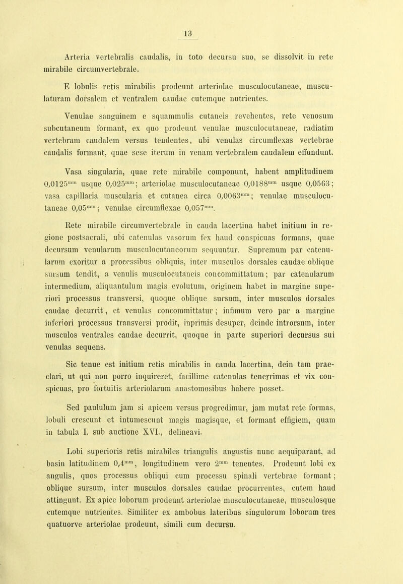 Arteria vertebralis caudalis, iu toto decursu suo, se dissolvit iu rete mirabile circumvertebrale. E lobulis retis mirabilis prodeunt arteriolae musculocutaneae, muscu- laturam dorsalem et ventralem caudae cutemque nutrientes. Venulae sanguinem e squammulis cutaneis revehentes, rete venosum subcutaneum formant, ex quo prodeunt venulae musculocutaneae, radiatim vertebram caudalem versus tendentes, ubi venulas circumflexas vertebi'ae caudalis formant, quae sese iterum in venara vertebralem caudalem effundunt. Vasa singularia, quae rete mirabile componunt, habent amplitudinem 0,0125 usque 0,025^™; arteriolae musculocutaneae 0,0188^' usque 0,0563; vasa capillaria muscularia et cutanea circa 0,0063''; venulae musculocu- taneae 0,05^'; venulae circumflexae 0,057''. Rete mirabile circumvertebrale in cauda lacertina habet initium in re- gione postsacrali, ubi catenulas vasorum fex haud conspicuas formans, quae decursum venularum musculocutaneorum sequuntur. Supremum par catenu- larum exoritur a processibus obliquis, inter musculos dorsales caudae obhque suisum tendit, a venulis musculocutaneis concommittatum; par catenularum intermedium, aliquantulum magis evolutum, originem habet in margine supe- riori processus transversi, quoque oblique sursum, inter musculos dorsales caudae decurrit, et venulas concommittatur; infimum vero par a raargine infertori processus transversi prodit, inprirais desuper, deinde introrsum, inter rausculos ventrales caudae decurrit, quoque in parte superiori decursus sui venulas sequens. Sic tenue est initium retis mirabilis in cauda lacertina, dein tam prae- clari, ut qui non porro inquii-eret, facillime catenulas tenerrimas et vix con- spicuas, pro fortuitis arteriolarum anastomosibus habere posset. Sed paululum jam si apicem versus progredimur, jara rautat rete formas, lobuli crescunt et intumescuQt raagis raagisque, et formant effigiem, quam in tabula I. sub auctione XVI., delineavi. Lobi superioris retis rairabilcs triangulis angustis nunc aequiparant, ad basin latitudinem 0,4'*, longitudinem vero 2'' tenentes. Prodeunt lobi ex angulis, quos processus obliqui cura processu spinali vertebrae formant; oblique sursura, inter musculos dorsales caudae procurrentes, cutem haud attingunt. Ex apice loborura prodeunt arteriolae rausculocutaneae, rausculosque cutemque nutrienies. Similiter ex ambobus lateribus singulorura loborum tres quatuorve arteriolae prodeunt, simili cura decursu.