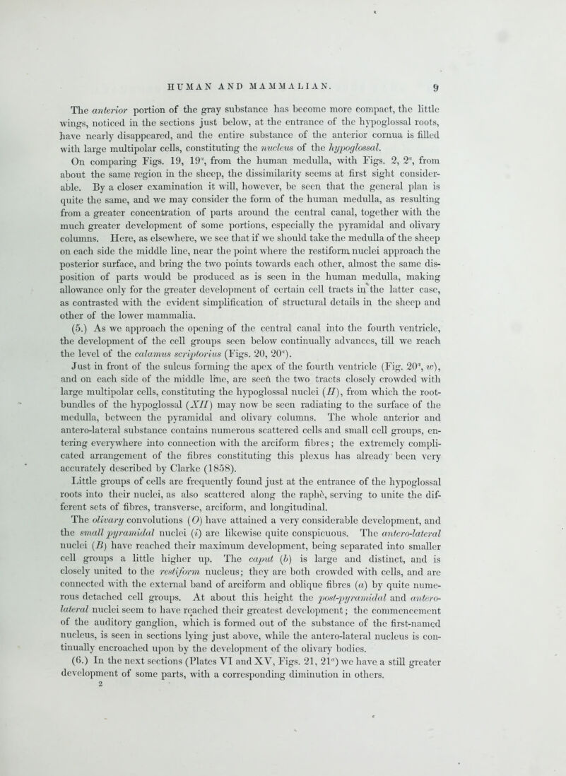 The anterior portion of the gray substance has become more compact, the little wings, noticed in the sections just below, at the entrance of the hypoglossal roots, have nearly disappeared, and the entire substance of the anterior cornua is filled with large multipolar cells, constituting the nucleus of the hypoglossal. On comparing Figs. 19, 19, from the human medulla, with Figs. 2, 2% from about the same region in the sheep, the dissimilarity seems at first sight consider- able. By a closer examination it will, however, be seen that the general plan is quite the same, and we may consider the form of the human medulla, as resulting from a greater concentration of parts around the central canal, together with the much greater development of some portions, especially the pyramidal and olivary columns. Here, as elsewhere, we see that if we should take the medulla of the sheep on each side the middle line, near the point where the restiform nuclei approach the posterior surface, and bring the two points towards each other, almost the same dis- position of parts would be produced as is seen in the human medulla, making allowance only for the greater development of certain cell tracts in the latter case, as contrasted with the evident simplification of structural details in the sheep and other of the lower mammalia. (5.) As we approach the opening of the central canal into the fourth ventricle, the development of the cell groups seen below continually advances, till we reach the level of the calamus scriptorius (Figs. 20, 20). Just in front of the sulcus forming the apex of the fourth ventricle (Fig. 20, w), and on each side of the middle line, are seeft the two tracts closely crowded with large multipolar cells, constituting the hypoglossal nuclei (II), from which the root- bundles of the hypoglossal (XII) may now be seen radiating to the surface of the medulla, between the pyramidal and olivary columns. The whole anterior and antero-lateral substance contains numerous scattered cells and small cell groups, en- tering everywhere into connection with the arciform fibres; the extremely compli- cated arrangement of the fibres constituting this plexus has already been very accurately described by Clarke (1858). Little groups of cells are frequently found just at the entrance of the hypoglossal roots into their nuclei, as also scattered along the raphe, serving to unite the dif- ferent sets of fibres, transverse, arciform, and longitudinal. The olivary convolutions (0) have attained a very considerable development, and the small pyramidal nuclei (i) are likewise quite conspicuous. The antero-lateral nuclei (B) have reached their maximum development, being separated into smaller cell groups a little higher up. The caput (h) is large and distinct, and is closely united to the restiform nucleus; they are both crowded with cells, and are connected with the external band of arciform and oblique fibres (a) by quite nume- rous detached cell groups. At about this height the post-pyramidal and antero- lateral nuclei seem to have reached their greatest development; the commencement of the auditory ganglion, which is formed out of the substance of the first-named nucleus, is seen in sections lying just above, while the antero-lateral nucleus is con- tinually encroached upon by the development of the olivary bodies. (6.) In the next sections (Plates VI and XV, Figs. 21, 21) Ave have a still greater development of some parts, with a corresponding diminution in others. 2