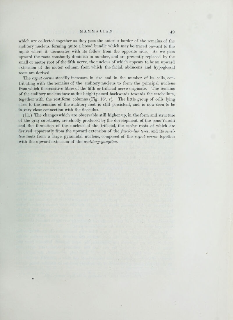 which are collected together as they pass the anterior border of the remains of the auditory nucleus, forming quite a broad bundle which may be traced onward to the raphe where it decussates with its fellow from the opposite side. As we pass upward the roots constantly diminish in number, and are presently replaced by the small or motor root of the fifth nerve, the nucleus of which appears to be an upward extension of the motor column from which the facial, abducens and hypoglossal roots are derived The caput cornu steadily increases in size and in the number of its cells, con- tributing with the remains of the auditory nucleus to form the principal nucleus from which the sensitive fibres of the fifth or trifacial nerve originate. The remains of the auditory nucleus have at this height passed backwards towards the cerebellum, together with the restiform columns (Fig. 16a, r). The little group of cells lying close to the remains of the auditory root is still persistent, and is now seen to be in very close connection with the flocculus. (11.) The changes which are observable still higher up, in the form and structure of the gray substance, are chiefly produced by the development of the pons Varolii and the formation of the nucleus of the trifacial, the motor roots of which are derived apparently from the upward extension of the fasciculus teres, and its sensi- tive roots from a large pyramidal nucleus, composed of the caput cornu together with the upward extension of the auditory ganglion. 7