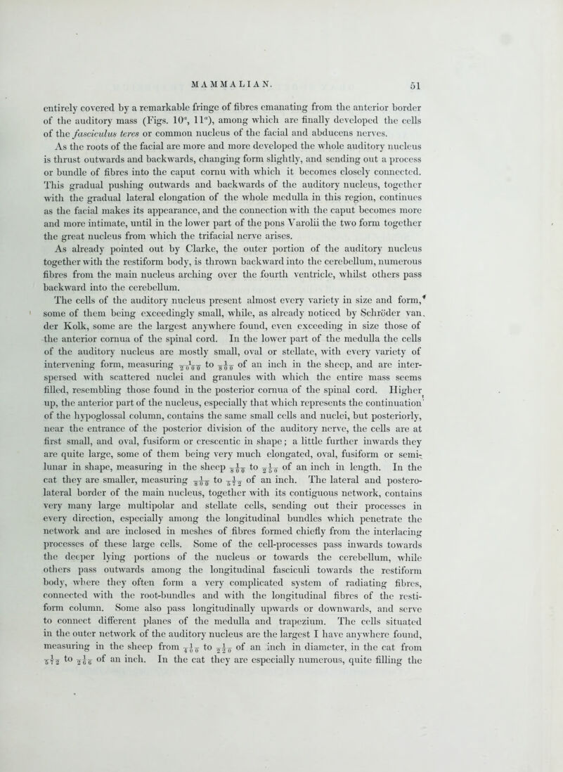 entirely covered by a remarkable fringe of fibres emanating from the anterior border of the auditory mass (Figs. 10“, 11“), among which are finally developed the cells of the fasciculus teres or common nucleus of the facial and abducens nerves. As the roots of the facial are more and more developed the whole auditory nucleus is thrust outwards and backwards, changing form slightly, and sending out a process or bundle of fibres into the caput cornu with which it becomes closely connected. This gradual pushing outwards and backwards of the auditory nucleus, together with the gradual lateral elongation of the whole medulla in this region, continues as the facial makes its appearance, and the connection with the caput becomes more and more intimate, until in the lower part of the pons Varolii the two form together the great nucleus from which the trifacial nerve arises. As already pointed out by Clarke, the outer portion of the auditory nucleus together with the restiform body, is thrown backward into the cerebellum, numerous fibres from the main nucleus arching over the fourth ventricle, whilst others pass backward into the cerebellum. The cells of the auditory nucleus present almost every variety in size and form/ some of them being exceedingly small, while, as already noticed by Schroder van. der Kolk, some are the largest anywhere found, even exceeding in size those of the anterior cornua of the spinal cord. In the lower part of the medulla the cells of the auditory nucleus are mostly small, oval or stellate, with every variety of intervening form, measuring to -g^-g- of an inch in the sheep, and are inter- spersed with scattered nuclei and granules with which the entire mass seems filled, resembling those found in the posterior cornua of the spinal cord. Higher up, the anterior part of the nucleus, especially that which represents the continuation' of the hypoglossal column, contains the same small cells and nuclei, but posteriorly, near the entrance of the posterior division of the auditory nerve, the cells are at first small, and oval, fusiform or crescentic in shape; a little further inwards they are quite large, some of them being very much elongated, oval, fusiform or semi- lunar in shape, measuring in the sheep gig to °f an inch in length. In the cat they are smaller, measuring gi^ to -gf j of an inch. The lateral and postero- lateral border of the main nucleus, together with its contiguous network, contains very many large multipolar and stellate cells, sending out their processes in every direction, especially among the longitudinal bundles which penetrate the network and are inclosed in meshes of fibres formed chiefly from the interlacing processes of these large cells. Some of the cell-processes pass inwards towards the deeper lying portions of the nucleus or towards the cerebellum, while others pass outwards among the longitudinal fasciculi towards the restiform body, where they often form a very complicated system of radiating fibres, connected with the root-bundles and with the longitudinal fibres of the rcsti- form column. Some also pass longitudinally upwards or downwards, and serve to connect different planes of the medulla and trapezium. The cells situated in the outer network of the auditory nucleus are the largest I have anywhere found, measuring in the sheep from to ^ig- an inch in diameter, in the cat from 5T2 2^6 °f an inch. In the cat they are especially numerous, quite filling the