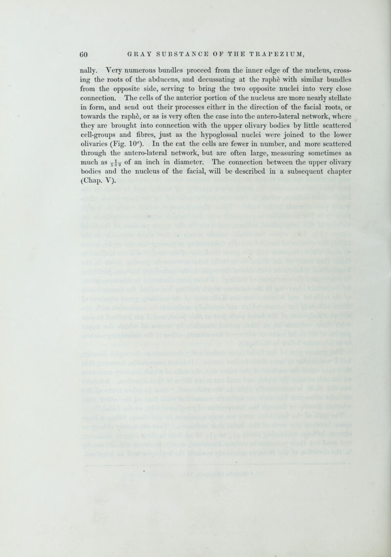 nally. Very numerous bundles proceed from the inner edge of the nucleus, cross- ing the roots of the abducens, and decussating at the raphe with similar bundles from the opposite side, serving to bring the two opposite nuclei into very close connection. The cells of the anterior portion of the nucleus are more nearly stellate in form, and send out their processes either in the direction of the facial roots, or towards the raphe, or as is very often the case into the antero-lateral network, where they are brought into connection with the upper olivary bodies by little scattered cell-groups and fibres, just as the hypoglossal nuclei were joined to the lower olivaries (Fig. 10°). In the cat the cells are fewer in number, and more scattered through the antero-lateral network, but are often large, measuring sometimes as much as of an inch in diameter. The connection between the upper olivary bodies and the nucleus of the facial, will be described in a subsequent chapter (Chap. V).
