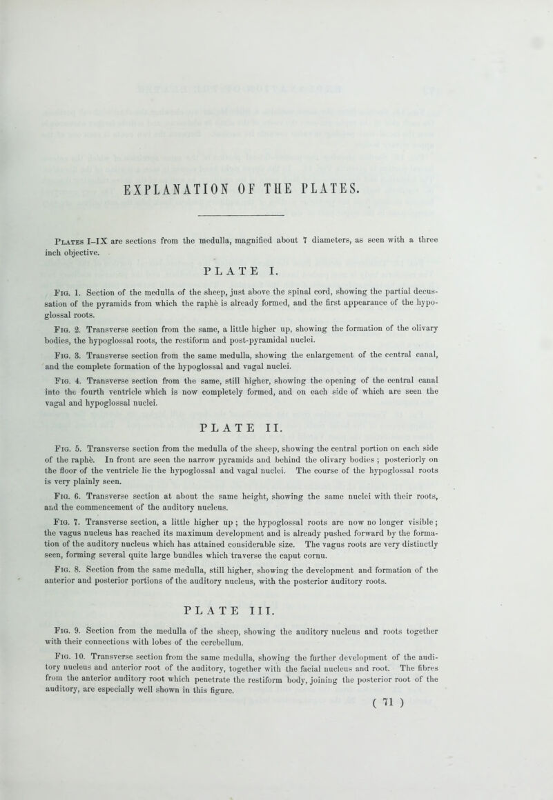 EXPLANATION OF THE PLATES. Plates I-IX are sections from the medulla, magnified about t diameters, as seen with a three inch objective. PLATE I. Fig. 1. Section of the medulla of the sheep, just above the spinal cord, showing the partial decus- sation of the pyramids from which the raphe is already formed, and the first appearance of the hypo- glossal roots. Fig. 2. Transverse section from the same, a little higher up, showing the formation of the olivary bodies, the hypoglossal roots, the restiform and post-pyramidal nuclei. Fig. 3. Transverse section from the same medulla, showing the enlargement of the central canal, and the complete formation of the hypoglossal and vagal nuclei. Fig. 4. Transverse section from the same, still higher, showing the opening of the central canal into the fourth ventricle which is now completely formed, and on each side of which are seen the vagal and hypoglossal nuclei. PLATE II. Fig. 5. Transverse section from the medulla of the sheep, showing the central portion on each side of the raphe. In front are seen the narrow pyramids and behind the olivary bodies ; posteriorly on the floor of the ventricle lie the hypoglossal and vagal nuclei. The course of the hypoglossal roots is very plainly seen. Fig. 6. Transverse section at about the same height, showing the same nuclei with their roots, and the commencement of the auditory nucleus. Fig. 7. Transverse section, a little higher up ; the hypoglossal roots are now no longer visible; the vagus nucleus has reached its maximum development and is already pushed forward by the forma- tion of the auditory nucleus which has attained considerable size. The vagus roots are very distinctly seen, forming several quite large bundles which traverse the caput cornu. Fig. 8. Section from the same medulla, still higher, showing the development and formation of the anterior and posterior portions of the auditory nucleus, with the posterior auditory roots. PLATE III. Fig. 9. Section from the medulla of the sheep, showing the auditory nucleus and roots together with their connections with lobes of the cerebellum. Fig. 10. Transverse section from the same medulla, showing the further development of the audi- tory nucleus and anterior root of the auditory, together with the facial nucleus and root. The fibres from the anterior auditory root which penetrate the restiform body, joining the posterior root of the auditory, are especially well shown in this figure.