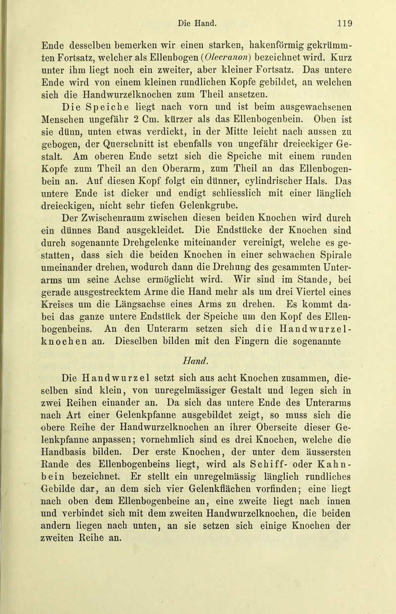 Ende desselben bemerken wir einen starken, hakenförmig gekrümm- ten Fortsatz, welcher als Ellenbogen (Olecranon) bezeichnet wird. Kurz unter ihm liegt noch ein zweiter, aber kleiner Fortsatz. Das untere Ende wird von einem kleinen rundlichen Kopfe gebildet, an welchen sich die Handwurzelknochen zum Theil ansetzen. Die Speiche liegt nach vorn und ist beim ausgewachsenen Menschen ungefähr 2 Cm. kürzer als das Ellenbogenbein. Oben ist sie dünn, unten etwas verdickt, in der Mitte leicht nach aussen zu gebogen, der Querschnitt ist ebenfalls von ungefähr dreieckiger Ge- stalt. Am oberen Ende setzt sich die Speiche mit einem runden Kopfe zum Theil an den Oberarm, zum Theil an das Ellenbogen- bein an. Auf diesen Kopf folgt ein dünner, cylindrischer Hals. Das untere Ende ist dicker und endigt schliesslich mit einer länglich dreieckigen, nicht sehr tiefen Gelenkgrube. Der Zwischenraum zwischen diesen beiden Knochen wird durch ein dünnes Band ausgekleidet. Die Endstücke der Knochen sind durch sogenannte Drehgelenke miteinander vereinigt, welche es ge- statten, dass sich die beiden Knochen in einer schwachen Spirale umeinander drehen, wodurch dann die Drehung des gesammten Unter- arms um seine Achse ermöglicht wird. Wir sind im Stande, bei gerade ausgestrecktem Arme die Hand mehr als um drei Viertel eines Kreises um die Längsachse eines Arms zu drehen. Es kommt da- bei das ganze untere Endstück der Speiche um den Kopf des Ellen- bogenbeins. An den Unterarm setzen sich die Handwurzel- knochen an. Dieselben bilden mit den Fingern die sogenannte Hand. Die Handwurzel setzt sich aus acht Knochen zusammen, die- selben sind klein, von unregelmässiger Gestalt und legen sich in zwei Reihen einander an. Da sich das untere Ende des Unterarms nach Art einer Gelenkpfanne ausgebildet zeigt, so muss sich die obere Reihe der Handwurzelknochen an ihrer Oberseite dieser Ge- lenkpfanne anpassen; vornehmlich sind es drei Knochen, welche die Handbasis bilden. Der erste Knochen, der unter dem äussersten Rande des Ellenbogenbeins liegt, wird als Schiff- oder Kahn- bein bezeichnet. Er stellt ein unregelmässig länglich rundliches Gebilde dar, an dem sich vier Gelenkflächen vorfinden; eine liegt nach oben dem Ellenbogenbeine an, eine zweite liegt nach innen und verbindet sich mit dem zweiten Handwurzelknochen, die beiden andern liegen nach unten, an sie setzen sich einige Knochen der zweiten Reihe an.