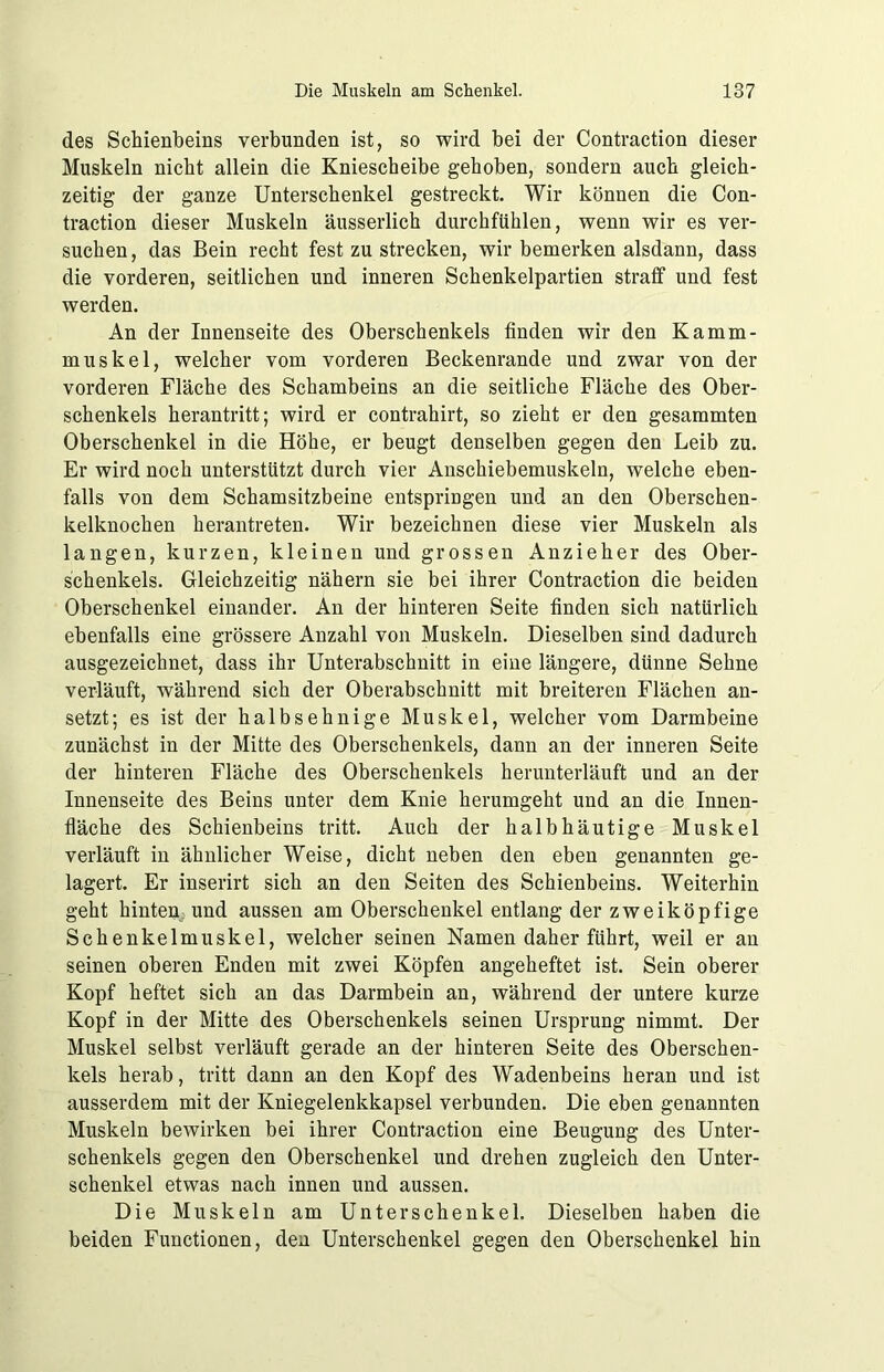 des Schienbeins verbunden ist, so wird bei der Contraction dieser Muskeln nicht allein die Kniescheibe gehoben, sondern auch gleich- zeitig der ganze Unterschenkel gestreckt. Wir können die Con- traction dieser Muskeln äusserlich durchfühlen, wenn wir es ver- suchen, das Bein recht fest zu strecken, wir bemerken alsdann, dass die vorderen, seitlichen und inneren Schenkelpartien straff und fest werden. An der Innenseite des Oberschenkels finden wir den Kamm- muskel, welcher vom vorderen Beckenrande und zwar von der vorderen Fläche des Schambeins an die seitliche Fläche des Ober- schenkels herantritt; wird er contrahirt, so zieht er den gesammten Oberschenkel in die Höhe, er beugt denselben gegen den Leib zu. Er wird noch unterstützt durch vier Anschiebemuskeln, welche eben- falls von dem Schamsitzbeine entspringen und an den Oberschen- kelknochen herantreten. Wir bezeichnen diese vier Muskeln als langen, kurzen, kleinen und grossen Anzieher des Ober- schenkels. Gleichzeitig nähern sie bei ihrer Contraction die beiden Oberschenkel einander. An der hinteren Seite finden sich natürlich ebenfalls eine grössere Anzahl von Muskeln. Dieselben sind dadurch ausgezeichnet, dass ihr Unterabschnitt in eine längere, dünne Sehne verläuft, während sich der Oberabschnitt mit breiteren Flächen an- setzt; es ist der halbsehnige Muskel, welcher vom Darmbeine zunächst in der Mitte des Oberschenkels, dann an der inneren Seite der hinteren Fläche des Oberschenkels herunterläuft und an der Innenseite des Beins unter dem Knie herumgeht und an die Innen- fläche des Schienbeins tritt. Auch der halbhäutige Muskel verläuft in ähnlicher Weise, dicht neben den eben genannten ge- lagert. Er inserirt sich an den Seiten des Schienbeins. Weiterhin geht hinten und aussen am Oberschenkel entlang der zweiköpfige Schenkelmuskel, welcher seinen Namen daher führt, weil er an seinen oberen Enden mit zwei Köpfen angeheftet ist. Sein oberer Kopf heftet sich an das Darmbein an, während der untere kurze Kopf in der Mitte des Oberschenkels seinen Ursprung nimmt. Der Muskel selbst verläuft gerade an der hinteren Seite des Oberschen- kels herab, tritt dann an den Kopf des Wadenbeins heran und ist ausserdem mit der Kniegelenkkapsel verbunden. Die eben genannten Muskeln bewirken bei ihrer Contraction eine Beugung des Unter- schenkels gegen den Oberschenkel und drehen zugleich den Unter- schenkel etwas nach innen und aussen. Die Muskeln am Unterschenkel. Dieselben haben die beiden Functionen, den Unterschenkel gegen den Oberschenkel hin