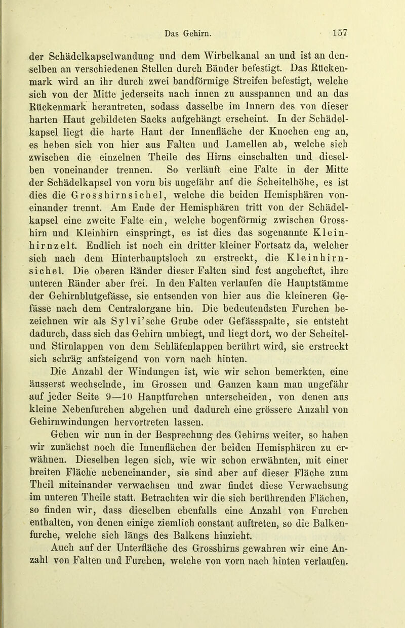 der Schädelkapselwandung und dem Wirbelkanal an und ist an den- selben an verschiedenen Stellen durch Bänder befestigt. Das Rücken- mark wird an ihr durch zwei bandförmige Streifen befestigt, welche sich von der Mitte jederseits nach innen zu ausspannen und an das Rückenmark herantreten, sodass dasselbe im Innern des von dieser harten Haut gebildeten Sacks aufgehängt erscheint. In der Schädel- kapsel liegt die harte Haut der Innenfläche der Knochen eng an, es heben sich von hier aus Falten und Lamellen ab, welche sich zwischen die einzelnen Theile des Hirns einschalten und diesel- ben voneinander trennen. So verläuft eine Falte in der Mitte der Schädelkapsel von vorn bis ungefähr auf die Scheitelhöhe, es ist dies die Grosshirnsichel, welche die beiden Hemisphären von- einander trennt. Am Ende der Hemisphären tritt von der Schädel- kapsel eine zweite Falte ein, welche bogenförmig zwischen Gross- hirn und Kleinhirn einspringt, es ist dies das sogenannte Klein- hirn zeit. Endlich ist noch ein dritter kleiner Fortsatz da, welcher sich nach dem Hinterhauptsloch zu erstreckt, die Kleinhirn- sichel. Die oberen Ränder dieser Falten sind fest angeheftet, ihre unteren Ränder aber frei. In den Falten verlaufen die Hauptstämme der Gehirnblutgefässe, sie entsenden von hier aus die kleineren Ge- fässe nach dem Centralorgane hin. Die bedeutendsten Furchen be- zeichnen wir als Sylvi’sche Grube oder Gefässspalte, sie entsteht dadurch, dass sich das Gehirn umbiegt, und liegt dort, wo der Scheitel- und Stirnlappen von dem Schläfenlappen berührt wird, sie erstreckt sich schräg aufsteigend von vorn nach hinten. Die Anzahl der Windungen ist, wie wir schon bemerkten, eine äusserst wechselnde, im Grossen und Ganzen kann man ungefähr auf jeder Seite 9—10 Hauptfurchen unterscheiden, von denen aus kleine Nebenfurchen abgehen und dadurch eine grössere Anzahl von Gehirnwindungen hervortreten lassen. Gehen wir nun in der Besprechung des Gehirns weiter, so haben wir zunächst noch die Innenflächen der beiden Hemisphären zu er- wähnen. Dieselben legen sich, wie wir schon erwähnten, mit einer breiten Fläche nebeneinander, sie sind aber auf dieser Fläche zum Theil miteinander verwachsen und zwar findet diese Verwachsung im unteren Theile statt. Betrachten wir die sich berührenden Flächen, so finden wir, dass dieselben ebenfalls eine Anzahl von Furchen enthalten, von denen einige ziemlich constant auftreten, so die Balken- f'urche, welche sich längs des Balkens hinzieht. Auch auf der Unterfläche des Grosshirns gewahren wir eine An- zahl von Falten und Furchen, welche von vorn nach hinten verlaufen.