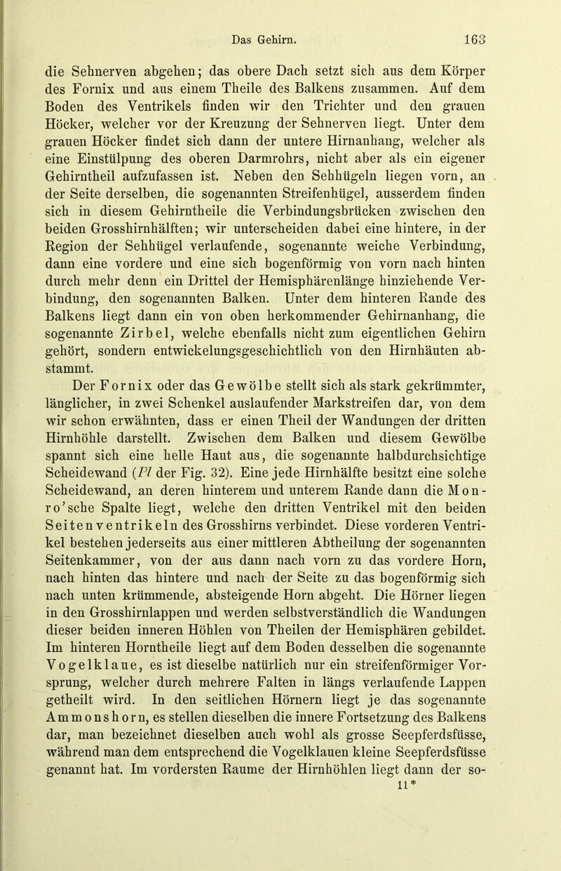 die Sehnerven abgehen; das obere Dach setzt sich aus dem Körper des Fornix und aus einem Theile des Balkens zusammen. Auf dem Boden des Ventrikels finden wir den Trichter und den grauen Höcker, welcher vor der Kreuzung der Sehnerven liegt. Unter dem grauen Höcker findet sich dann der untere Hirnanhang, welcher als eine Einstülpung des oberen Darmrohrs, nicht aber als ein eigener Gehirntheil aufzufassen ist. Neben den Sehhügeln liegen vorn, an der Seite derselben, die sogenannten Streifenhügel, ausserdem finden sich in diesem Gehirntheile die Verbindungsbrücken zwischen den beiden Grosshirnhälften; wir unterscheiden dabei eine hintere, in der Region der Sehhügel verlaufende, sogenannte weiche Verbindung, dann eine vordere und eine sich bogenförmig von vorn nach hinten durch mehr denn ein Drittel der Hemisphärenlänge hinziehende Ver- bindung, den sogenannten Balken. Unter dem hinteren Rande des Balkens liegt dann ein von oben herkommender Gehirnanhang, die sogenannte Zirbel, welche ebenfalls nicht zum eigentlichen Gehirn gehört, sondern entwickelungsgeschichtlich von den Hirnhäuten ab- stammt. Der Fornix oder das Gewölbe stellt sich als stark gekrümmter, länglicher, in zwei Schenkel auslaufender Markstreifen dar, von dem wir schon erwähnten, dass er einen Theil der Wandungen der dritten Hirnhöhle darstellt. Zwischen dem Balken und diesem Gewölbe spannt sich eine helle Haut aus, die sogenannte halbdurchsichtige Scheidewand (PI der Fig. 32). Eine jede Hirnhälfte besitzt eine solche Scheidewand, an deren hinterem und unterem Rande dann die M o n - ro’sche Spalte liegt, welche den dritten Ventrikel mit den beiden Seiten Ventrikeln des Grosshirns verbindet. Diese vorderen Ventri- kel bestehen jederseits aus einer mittleren Abtheilung der sogenannten Seitenkammer, von der aus dann nach vorn zu das vordere Horn, nach hinten das hintere und nach der Seite zu das bogenförmig sich nach unten krümmende, absteigende Horn abgeht. Die Hörner liegen in den Grosshirnlappen und werden selbstverständlich die Wandungen dieser beiden inneren Höhlen von Theilen der Hemisphären gebildet. Im hinteren Horntheile liegt auf dem Boden desselben die sogenannte Vogelklaue, es ist dieselbe natürlich nur ein streifenförmiger Vor- sprung, welcher durch mehrere Falten in längs verlaufende Lappen getheilt wird. In den seitlichen Hörnern liegt je das sogenannte Ammonshorn, es stellen dieselben die innere Fortsetzung des Balkens dar, man bezeichnet dieselben auch wohl als grosse Seepferdsfüsse, während man dem entsprechend die Vogelklauen kleine Seepferdsfüsse genannt hat. Im vordersten Raume der Hirnhöhlen liegt dann der so- ll*