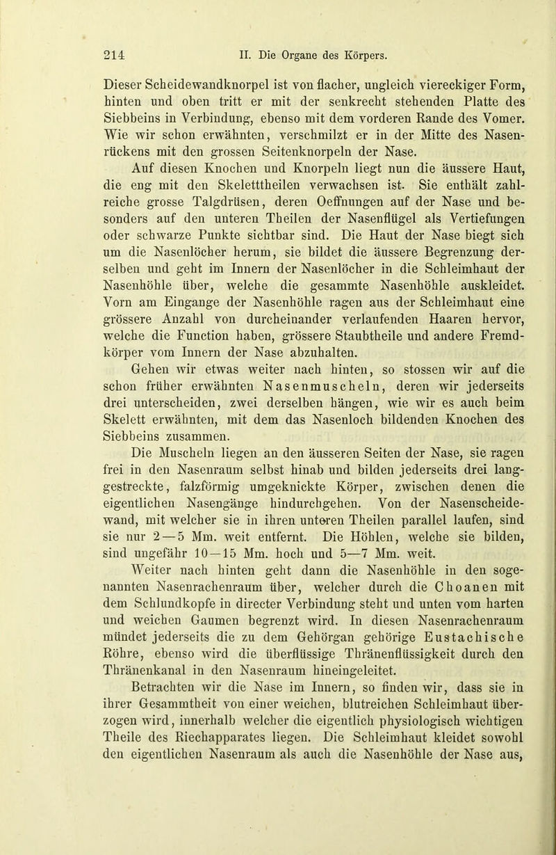 Dieser Scheidewandknorpel ist von flacher, ungleich viereckiger Form, hinten und oben tritt er mit der senkrecht stehenden Platte des Siebbeins in Verbindung, ebenso mit dem vorderen Rande des Vomer. Wie wir schon erwähnten, verschmilzt er in der Mitte des Nasen- rückens mit den grossen Seitenknorpeln der Nase. Auf diesen Knochen und Knorpeln liegt nun die äussere Haut, die eng mit den Skeletttheilen verwachsen ist. Sie enthält zahl- reiche grosse Talgdrüsen, deren Oeffnungen auf der Nase und be- sonders auf den unteren Theilen der Nasenflügel als Vertiefungen oder schwarze Punkte sichtbar sind. Die Haut der Nase biegt sich um die Nasenlöcher herum, sie bildet die äussere Begrenzung der- selben und geht im Innern der Nasenlöcher in die Schleimhaut der Nasenhöhle über, welche die gesammte Nasenhöhle auskleidet. Vorn am Eingänge der Nasenhöhle ragen aus der Schleimhaut eine grössere Anzahl von durcheinander verlaufenden Haaren hervor, welche die Function haben, grössere Staubtheile und andere Fremd- körper vom Innern der Nase abzuhalten. Gehen wir etwas weiter nach hinten, so stossen wir auf die schon früher erwähnten Nasenmuscheln, deren wir jederseits drei unterscheiden, zwei derselben hängen, wie wir es auch beim Skelett erwähnten, mit dem das Nasenloch bildenden Knochen des Siebbeins zusammen. Die Muscheln liegen an den äusseren Seiten der Nase, sie ragen frei in den Nasenraum selbst hinab und bilden jederseits drei lang- gestreckte, falzförmig umgeknickte Körper, zwischen denen die eigentlichen Nasengänge hindurchgehen. Von der Nasenscheide- wand, mit welcher sie in ihren unteren Theilen parallel laufen, sind sie nur 2 — 5 Mm. weit entfernt. Die Höhlen, welche sie bilden, sind ungefähr 10—15 Mm. hoch und 5—7 Mm. weit. Weiter nach hinten geht dann die Nasenhöhle in den soge- nannten Nasenrachenraum über, welcher durch die Choanen mit dem Schlundkopfe in directer Verbindung steht und unten vom harten und weichen Gaumen begrenzt wird. In diesen Nasenrachenraum mündet jederseits die zu dem Gehörgan gehörige Eustachische Röhre, ebenso wird die überflüssige Thränenflüssigkeit durch den Thränenkanal in den Nasenraum hineingeleitet. Betrachten wir die Nase im Innern, so finden wir, dass sie in ihrer Gesammtheit von einer weichen, blutreichen Schleimhaut über- zogen wird, innerhalb welcher die eigentlich physiologisch wichtigen Theile des Riechapparates liegen. Die Schleimhaut kleidet sowohl den eigentlichen Nasenraum als auch die Nasenhöhle der Nase aus,