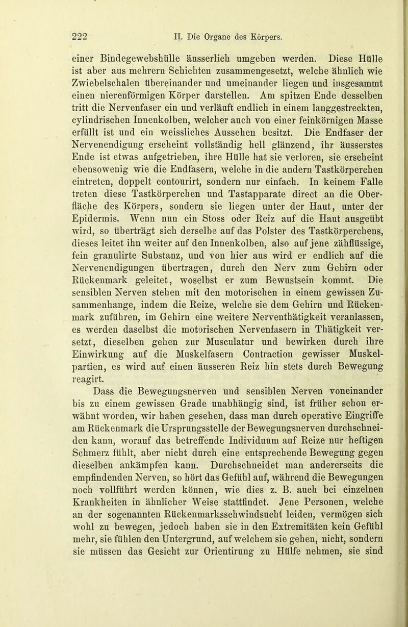 einer Bindegewebshülle äusserlich umgeben werden. Diese Hülle ist aber aus mebrern Schichten zusammengesetzt, welche ähnlich wie Zwiebelschalen übereinander und umeinander liegen und insgesammt einen nierenförmigen Körper darstellen. Am spitzen Ende desselben tritt die Nervenfaser ein und verläuft endlich in einem langgestreckten, cylindrischen Innenkolben, welcher auch von einer feinkörnigen Masse erfüllt ist und ein weissliches Aussehen besitzt. Die Endfaser der Nervenendigung erscheint vollständig hell glänzend, ihr äusserstes Ende ist etwas aufgetrieben, ihre Hülle hat sie verloren, sie erscheint ebensowenig wie die Endfasern, welche in die andern Tastkörperchen eintreten, doppelt contourirt, sondern nur einfach. In keinem Falle treten diese Tastkörperchen und Tastapparate direct an die Ober- fläche des Körpers, sondern sie liegen unter der Haut, unter der Epidermis. Wenn nun ein Stoss oder Beiz auf die Haut ausgeübt wird, so überträgt sich derselbe auf das Polster des Tastkörperchens, dieses leitet ihn weiter auf den Innenkolben, also auf jene zähflüssige, fein granulirte Substanz, und von hier aus wird er endlich auf die Nervenendigungen übertragen, durch den Nerv zum Gehirn oder Rückenmark geleitet, woselbst er zum Bewustsein kommt. Die sensiblen Nerven stehen mit den motorischen in einem gewissen Zu- sammenhänge, indem die Reize, welche sie dem Gehirn und Rücken- mark zuführen, im Gehirn eine weitere Nerventhätigkeit veranlassen, es werden daselbst die motorischen Nervenfasern in Thätigkeit ver- setzt, dieselben gehen zur Musculatur und bewirken durch ihre Einwirkung auf die Muskelfasern Contraction gewisser Muskel- partien, es wird auf einen äusseren Reiz hin stets durch Bewegung reagirt. Dass die Bewegungsnerven und sensiblen Nerven voneinander bis zu einem gewissen Grade unabhängig sind, ist früher schon er- wähnt worden, wir haben gesehen, dass man durch operative Eingriffe am Rückenmark die Ursprungsstelle der Bewegungsnerven durchschnei- den kann, worauf das betreffende Individuum auf Reize nur heftigen Schmerz fühlt, aber nicht durch eine entsprechende Bewegung gegen dieselben ankämpfen kann. Durchschneidet man andererseits die empfindenden Nerven, so hört das Gefühl auf, während die Bewegungen noch vollführt werden können, wie dies z. B. auch bei einzelnen Krankheiten in ähnlicher Weise stattfindet. Jene Personen, welche an der sogenannten Rückenmarksschwindsucht leiden, vermögen sich wohl zu bewegen, jedoch haben sie in den Extremitäten kein Gefühl mehr, sie fühlen den Untergrund, auf welchem sie gehen, nicht, sondern sie müssen das Gesicht zur Orientirung zu Hülfe nehmen, sie sind