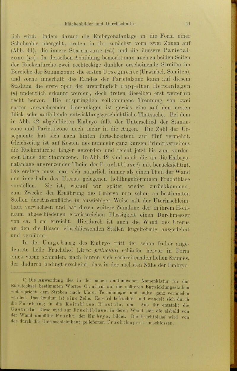 Hell wird. Indem darauf die Embryonalanlage in die Form einer Schuhsohle übergeht, treten in ihr zunächst vorn zwei Zonen auf (Abb. 41), die innere Staramzone [st^) und die äussere Parietal- zone {pg). In derselben Abbildung bemerkt man auch zu beiden Seiten der Rückenfurche zwei rechteckige dunkler erscheinende Streifen im Bereiche der Stammzone: die ersten Ursegmente (Urwirbel, Somiten), und vorne innerhalb des Randes der Parietalzone kann auf diesem Stadium die erste Spur der ursprünglich doppelten Herzanlagen (//) undeutlich erkannt werden, doch treten dieselben erst weiterhin recht hervor. Die ursprünglich vollkommene Trennung von zwei später verwachsenden Herzanlagen ist gewiss eine auf den ersten Blick sehr auffallende entwicklungsgeschichtliche Thatsache. Bei dem in Abb. 42 abgebildeten Embryo fällt der Unterschied der Stamm- zone und Parietalzone noch mehr in die Augen. Die Zahl der Ur- segmente hat sich nach hinten fortschreitend auf fünf vermehrt. Gleichzeitig ist auf Kosten des nunmehr ganz kurzen Primitivstreifens die Rückenfurche länger geworden und reicht jetzt bis zum vorder- sten Ende der Stammzone. In Abb. 42 sind auch die an die Embryo- nalanlage angrenzenden Theile der Fruchtblase^) mit berücksichtigt. Die erstere muss man sich natürlich immer als einen Theil der Wand der innerhalb des Uterus gelegenen hohlkugelförmigen Fruchtblase vorstellen. Sie ist, worauf wir später wieder zurückkommen, zum Zwecke der Ernährung des Embryo nun schon an bestimmten Stellen der Aussenfläche in ausgiebiger Weise mit der Uterinschleim- haut verwachsen und hat durch weitere Zunahme der in ihrem Hohl- raum abgeschiedenen eiweissreichen Flüssigkeit einen Durchmesser von ca. 1 cm erreicht. Hierdurch ist auch die Wand des Uterus an den die Blasen einschliessenden Stellen kugelförmig ausgedehnt und verdünnt. In der Umgebung des Embryo tritt der schon früher ange- deutete helle Fruchthof {Arm pellucida) schärfer hervor in Form eines vorne schmalen, nach hinten sich verbreiternden hellen Saumes, der dadurch bedingt erscheint, dass in der nächsten Nähe der Embryo- 1) Die Anwendung des in der neuen anatomischen Nomenklatur für das Eierstocksei bestimmten Wortes Ovulum auf die späteren Entwicklungsstadien widerspricht dem Streben nach klarer Terminologie und sollte ganz vermieden werden. Das Ovulum ist eine Zelle. Es wird befruchtet und wandelt sich durch die Furchung in die Keimblase, Blastula, um. x\us ihr entsteht die Gastrula. Diese wird zur Fruchtblase, in deren Wand sich die alsbald von der Wand umhüllte Frucht, der Embryo, bildet. Die Fruchtblase wird von der durch die Uterinschleimhaut gelieferten Fruchtkapsel umschlossen.