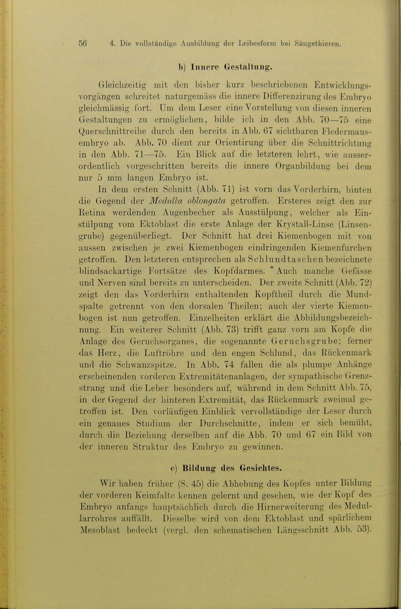 b) IniK^rc Gestaltung. Gleichzeitig mit den bisher kurz beschriebenen Entwickhings- vorgängen schreitet naturgemäss die innere Differenzirung des Embryo gleichmässig fort. Um dem Leser eine Vorstellung von diesen inneren Gestaltungen zu ermöglichen, bilde ich in den Abb. 70—Tö eine Querschnittreihe durch den bereits in Abb. 67 sichtbaren Fledermaus- embryo ab. Abb. 70 dient zur Orientirung über die Schnittrichtung in den Abb. 71—75. Ein Blick auf die letzteren lehrt, wie ausser- ordentlich vorgeschritten bereits die innere Organbildung bei dem nur 5 mm langen Embryo ist. In dem ersten Schnitt (Abb. 71) ist vorn das Vorderhirn, hinten die Gegend der Meclidla oUongata getroffen. Ersteres zeigt den zur Retina werdenden Augenbecher als Ausstülpung, welcher als Ein- stülpung vom Ektoblast die erste Anlage der Krystall-Linse (Linsen- grube) gegenüberliegt. Der Schnitt hat drei Kieraenbogen mit von aussen zwischen je zwei Kiemenbogen eindringenden Kiemenfurchen getroffen. Den letzteren entsprechen als Schlundtaschen bezeichnete blindsackartige Fortsätze des Kopfdarmes. ' Auch manche Gefässe und Nerven sind bereits zu unterscheiden. Der zweite Schnitt (Abb. 72) zeigt den das Vorderhirn enthaltenden Kopftheil durch die Mund- spalte getrennt von den dorsalen Theilen; auch der vierte Kiemen- bogen ist nun getroffen. Einzelheiten erklärt die Abbildungsbezeich- nung. Ein weiterer Schnitt (Abb. 73) triff't ganz vorn am Kopfe die Anlage des Geruchsorganes, die sogenannte Geruchsgrube; ferner das Herz, die Luftröhre und den engen Schlund, das Rückenmark und die Schwanzspitze. In Abb. 74 fallen die als plumpe Anhänge erscheinenden vorderen Extremitätenanlagen, der sympathische Grenz- strang und die Leber besonders auf, während in dem Schnitt Abb. 75, in der Gegend der hinteren Extremität, das Rückenmark zweimal ge- troffen ist. Den vorläufigen Einblick vervollständige der Leser durch ein genaues Studium der Durchschnitte, indem er sich bemüht, durch die Beziehung derselben auf die Abb. 70 und 67 ein Bild von der inneren Struktur des Embryo zu gewinnen. (•) Bildung des Gesichtes. Wir haben früher (S. 45) die Abhebung des Kopfes unter Bildung der voi-deren Keimfalte kennen gelernt und gesehen, wie der Kopf des Embryo anfangs hauptsächlich durch die Hirnerweiterung des Medul- larrohres auffallt. Dieselbe wird von dem Ektoblast \md spärlichem Mesoblast bedeckt (vergl. den schematischen Längsschnitt Abb. 53).