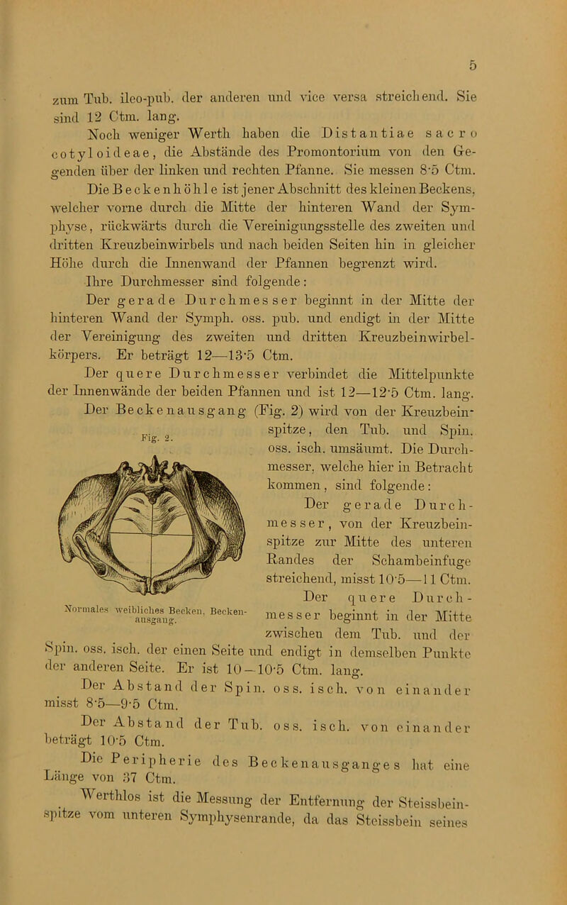 zum Tub. ileo-pub. der anderen und vice versa streichend. Sie sind 12 Ctm. lang-. Noch weniger Werth haben die Distantiae sacro cot3^1 oideae , die Abstände des Promontorium von den Ge- o-enden über der linken und rechten Pfanne. Sie messen 8-5 Ctm. ö Die B e c k e n h ö h 1 e ist jener Abschnitt des kleinen Beckens, welcher vorne durch die Mitte der hinteren Wand der Sjun- physe, rückwärts durch die Vereinigungsstelle des zweiten und dritten Kreuzbeinwirbels und nach beiden Seiten hin in gleicher Höhe durch die Innenwand der Pfannen begrenzt wird. Ihre Durchmesser sind folgende: Der gerade Durchmesser beginnt in der Mitte der hinteren Wand der Symph. oss. pub. und endigt in der Mitte der Vereinigung des zweiten und dritten Kreuzbeinwirbel- körpers. Er beträgt 12—13-5 Ctm. Der quere Durchmesser verbindet die Mittelpunkte der Innenwände der beiden Pfannen und ist 12—12-5 Ctm. lang. Der Becke n aus gang (Fig. 2) wird von der Kreuzbein- spitze , den Tub. und Spin, oss. isch. umsäumt. Die Durch- messer, welche hier in Betracht kommen , sind folgende: Der gerade Durch- messer, von der Kreuzbein- spitze zur Mitte des unteren Bandes der Schambeinfuge streichend, misst 10‘5—11 Ctm. Der quere D u r e h - messer beginnt in der Mitte zwischen dem Tub. und der Spin. oss. isch. der einen Seite und endigt in demselben Punkte der anderen Seite. Er ist 10-10-5 Ctm. lang. Der Abstand der Spin. oss. isch. von einander misst 8-5—9-5 Ctm. Der Abstand der Tub. oss. isch. von einander beträgt 10 5 Ctm. Die Peripherie des Beckenausgange s hat eine Länge von 37 Ctm. Fig. 2 Normales weibliches Becken. Beclcen- . Wertlllos ist die Messung- der Entfernung der Steissbein- spitze vom unteren Symphysenrande, da das Steissbein seines