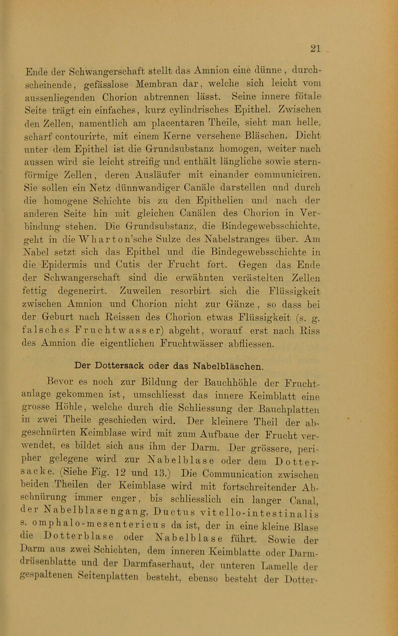 Ende der Schwangerschaft stellt das Amnion eine dünne, durch- scheinende, gefässlose Membran dar, welche sich leicht vom aussenliegenden Chorion abtrennen lässt. Seine innere fötale Seite trägt ein einfaches, kurz cylindrisches Epithel. Zwischen den Zellen, namentlich am placentaren Theile, sieht man helle, scharf contourirte, mit einem Kerne versehene Bläschen. Dicht unter dem Epithel ist die Grundsubstanz homogen, weiter nach aussen wird sie leicht streifig und enthält längliche sowie stern- förmige Zellen, deren Ausläufer mit einander communiciren. Sie sollen ein Netz dünnwandiger Canäle darstellen und durch die homogene Schichte bis zu den Epithelien und nach der anderen Seite hin mit gleichen Canälen des Chorion in Ver- bindung stehen. Die Grundsubstanz, die Bindegewebsschichte, geht in die Whar to n’sche Sülze des Nabelstranges über. Am Nabel setzt sich das Epithel und die Bindegewebsschichte in die Epidermis und Cutis der Frucht fort. Gegen das Ende der Schwangerschaft sind die erwähnten verästelten Zellen fettig degenerirt. Zuweilen resorbirt sich die Flüssigkeit zwischen Amnion und Chorion nicht zur Gänze , so dass bei der Geburt nach Heissen des Chorion etwas Flüssigkeit (s. g. falsches Fruchtwasser) abgeht, worauf erst nach Riss des Amnion die eigentlichen Fruchtwässer abfliessen. Der Dottersack oder das Nabelbläschen. Bevor es noch zur Bildung der Bauchhöhle der Frucht- anlage gekommen ist, umschliesst das innere Keimblatt eine grosse Höhle, welche durch die Schliessung der Bauchplatten m zwei Theile geschieden wird. Der kleinere Theil der ab- geschniirten Keimblase wird mit zum Aufbaue der Frucht ver- v endet, es bildet sich aus ihm der Darm. Der grössere, peri- pher gelegene wird zur Nabelblase oder dem Dotter- sacke. (Siehe Fig. 12 und 13.) Die Communication zwischen beiden Theilen der Keimblase wird mit fortschreitender Ab- schnürung immer enger, bis schliesslich ein langer Canal, der Nabelblasengang, Ductus vit ello-intestinalis s. omphalo-mesentericus da ist, der in eine kleine Blase die Dotter blase oder Nabelblase führt. Sowie der Darm aus zwei Schichten, dem inneren Keimblatte oder Darm- drusenblatte und der Darmfaserhaut, der unteren Lamelle der gespaltenen Seitenplatten besteht, ebenso besteht der Dotter-