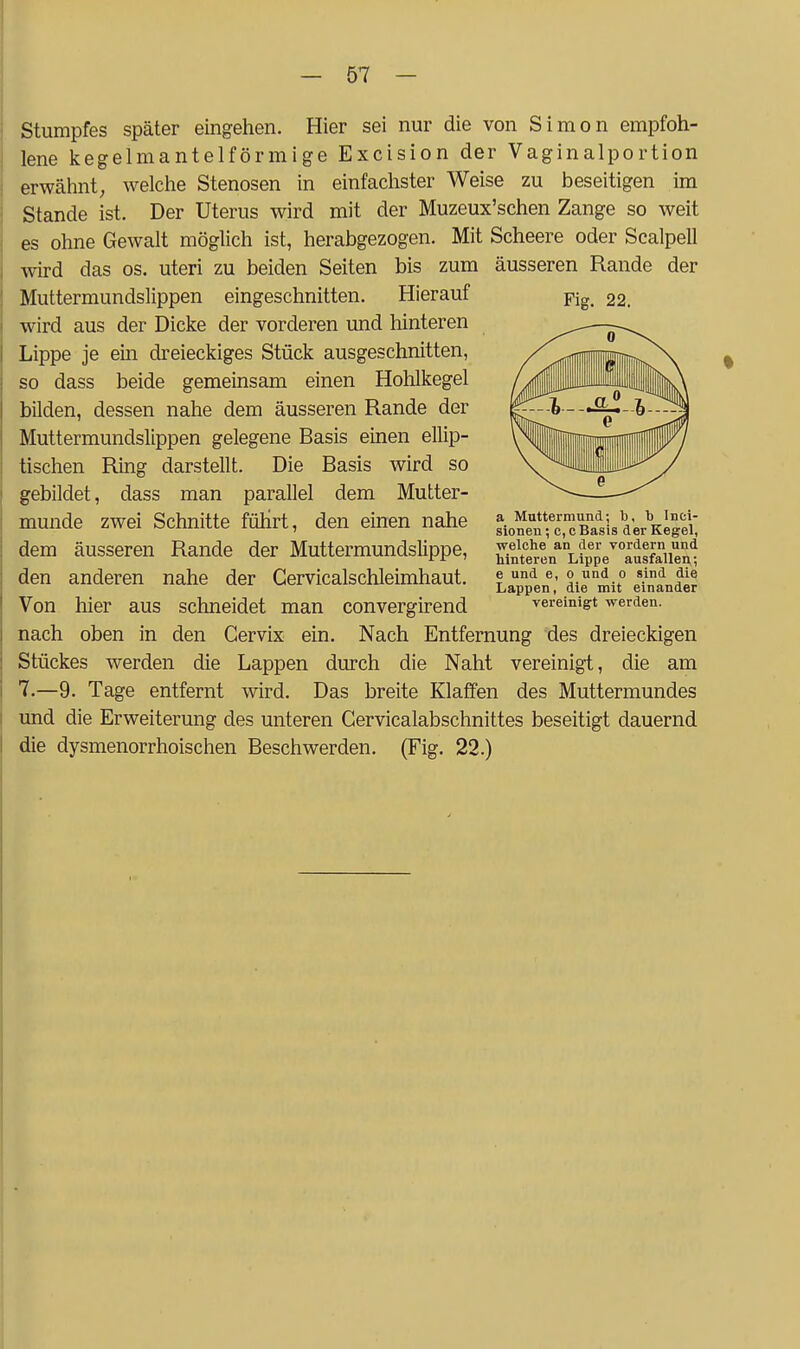 Stumpfes später eingehen. Hier sei nur die von Simon empfoh- lene kegelmantelförmige Excision der Vaginalportion erwähnt; welche Stenosen in einfachster Weise zu beseitigen im Stande ist. Der Uterus wird mit der Muzeux'schen Zange so weit es ohne Gewalt möglich ist, herabgezogen. Mit Scheere oder Scalpell wird das os. uteri zu beiden Seiten bis zum äusseren Rande der Muttermundslippen eingeschnitten. Hierauf wird aus der Dicke der vorderen und hinteren Lippe je ein dreieckiges Stück ausgeschnitten, so dass beide gemeinsam einen Hohlkegel bilden, dessen nahe dem äusseren Rande der Muttermundslippen gelegene Basis einen ellip- tischen Ring darstellt. Die Basis wird so gebildet, dass man parallel dem Mutter- munde zwei Schnitte führt, den einen nahe dem äusseren Rande der Muttermundslippe, den anderen nahe der Cervicalschleimhaut. Von hier aus schneidet man convergirend nach oben in den Cervix ein. Nach Entfernung des dreieckigen Stückes werden die Lappen durch die Naht vereinigt, die am 7.—9. Tage entfernt wird. Das breite Klaffen des Muttermundes und die Erweiterung des unteren Gervicalabschnittes beseitigt dauernd die dysmenorrhoischen Beschwerden. (Fig. 22.) a Muttermund; b, b Inci- sionen; c,c Basis der Kegel, welche an der vordem und hinteren Lippe ausfallen^; e und e, o und o sind die Lappen, die mit einander vereinigt werden.