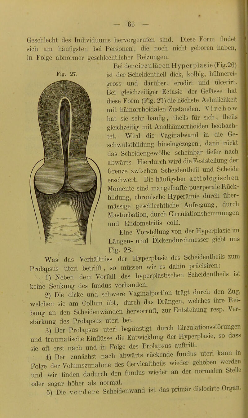 Geschlecht des hidividuums hervorgerufen sind. Diese Form findet sich am häufigsten bei Personen, die noch nicht geboren haben, in Folge abnormer geschlechtlicher Reizungen. Bei der circulären Hyperplasie (Fig.2G) ist der Scheidentheil dick, kolbig, hühnerei- gross und darüber, erodirt und ulcerirl. Bei gleichzeitiger Ectasie der Gefässe hat diese Form (Fig. 27) die höchste Aehnlichkeit mit hämorrhoidalen Zuständen. V i r c h o w hat sie sehr häufig, theils für sich, theils gleichzeitig mit Analhämorrhoiden beobach- tet. Wird die Vaginalwand in die Ge- schwulstbildung hineingezogen, dann rückt das Scheidengewölbe scheinbar tiefer nach abwärts. Hierdurch wird die Feststellung der Grenze zwischen Scheidentheil und Scheide erschwert. Die häufigsten aetiologischen Momente sind mangelhafte puerperale Rück- bildung, chronische Hyperämie durch über- mässige geschlechtliche Aufregung, durch Masturbation, durch Girculationshemmungen und Endometritis colli. Eine Vorstellung von der Hyi^erplasie im Längen- und Dickendurchniesser giebt mis Fig. 28. Was das Verhältniss der Hyperplasie des Scheidentheils zum Prolapsus uteri betrifft, so müssen wir es dahin präcisiren: 1) Neben dem Vorfall des hyperplastischen Scheidentheils ist keine Senkung des fundus vorhanden. 2) Die dicke und schwere Vaginalportion trägt durch den Zug, welchen sie am Collum übt, durch das Drängen, welclies ilire Rei- bung an den Scheidenwänden hervorruft, zur Entstehmig resp. Ver- stärkung des Prolapsus uteri bei. 3) Der Prolapsus uteri begünstigt durch Circulationsstörungen und traumatische Einflüsse die Entwicklung der Hyperplasie, so dass sie oft erst nach und in Folge des Prolapsus auftritt. 4) Der zunächst nach abwärts rückende fundus uteri kann m Folge der Volumszunahme des Cervicaltheils wieder gehoben werden und wir finden dadurch den fundus wieder an der normalen Stelle oder sogar höher als normal. 5) Die vordere Scheidenwand ist das primär dislocnie Organ.