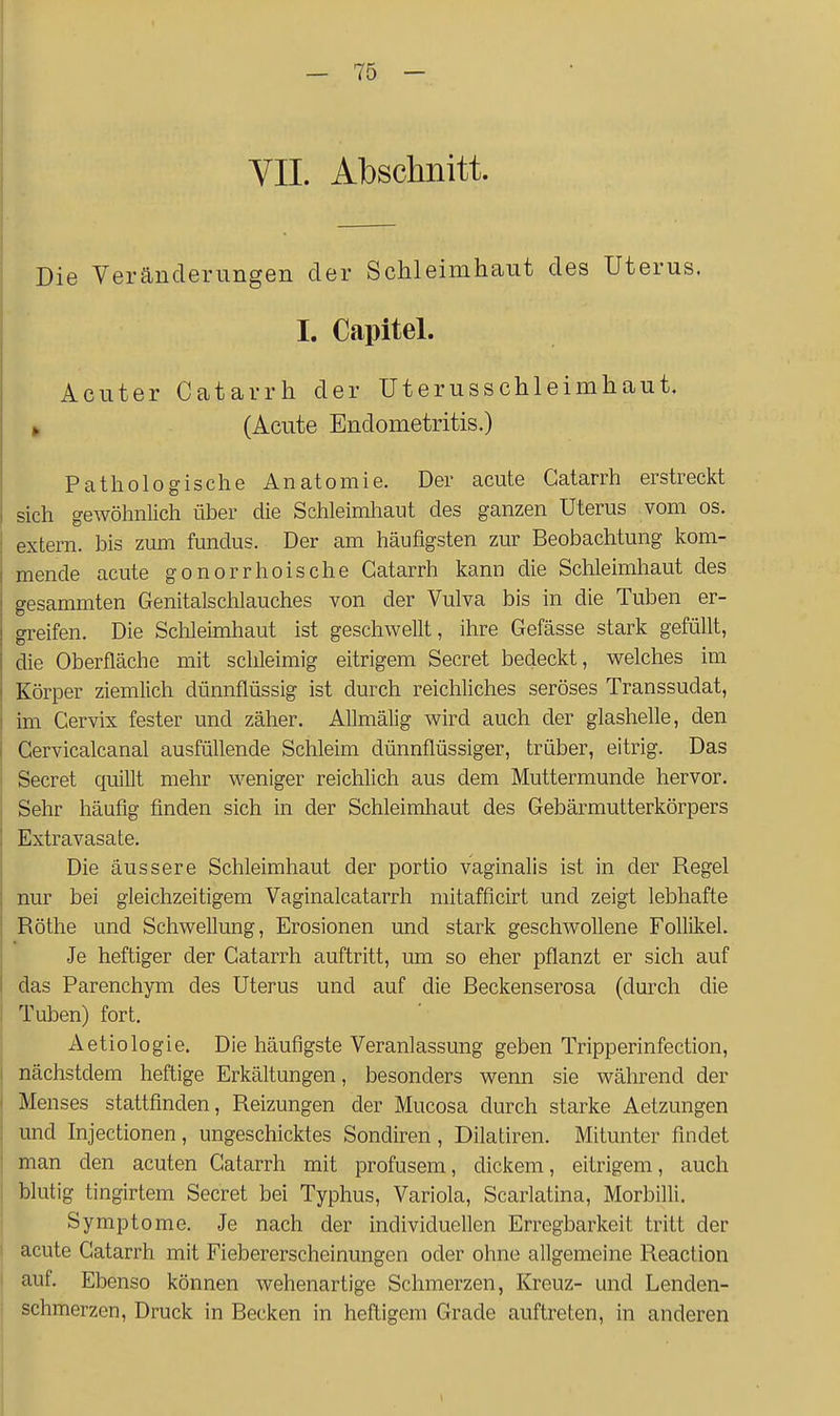 VII. Abschnitt. Die Veränderungen der Schleimhaut des Uterus. I, Capitel. Acuter Catarrh der Uterusschleimhaut. » (Acute Endometritis.) Pathologische Anatomie. Der acute Catarrh erstreckt sich gewöhnlich über die Schleimliaiit des ganzen Uterus vom os. extern, bis zum fundus. Der am häufigsten zur Beobachtung kom- mende acute gonorrhoische Catarrh kann die Schleimhaut des gesammten Genitalsclilauches von der Vulva bis in die Tuben er- greifen. Die Schleimhaut ist geschwellt, ihre Gefässe stark gefüllt, die Oberfläche mit schleimig eitrigem Secret bedeckt, welches im Körper ziemlich dünnflüssig ist durch reichliches seröses Transsudat, im Cervix fester und zäher. AUmälig wird auch der glashelle, den Gervicalcanal ausfüUende Schleim dünnflüssiger, trüber, eitrig. Das Secret quillt mehr weniger reichlich aus dem Muttermunde hervor. Sehr häufig finden sich in der Schleimhaut des Gebärmutterkörpers Extravasate. Die äussere Schleimhaut der portio vaginalis ist in der Regel nur bei gleichzeitigem Vaginalcatarrh mitafficirt und zeigt lebhafte Rothe und Schwellung, Erosionen und stark geschwollene Follikel. Je heftiger der Catarrh auftritt, um so eher pflanzt er sich auf das Parenchym des Uterus und auf die Beckenserosa (durch die Tuben) fort. Aetiologie. Die häufigste Veranlassung geben Tripperinfection, nächstdem heftige Erkältungen, besonders wenn sie während der Menses stattfinden, Reizungen der Mucosa durch starke Aetzungen und Injectionen, ungeschicktes Sondiren, Dilatiren. Mitunter findet man den acuten Catarrh mit profusem, dickem, eitrigem, auch blutig tingirtem Secret bei Typhus, Variola, Scarlatina, Morbilli. Symptome. Je nach der individuellen Erregbarkeit tritt der acute Catarrh mit Fiebererscheinungen oder ohne allgemeine Reaction auf. Ebenso können wehenartige Schmerzen, Kreuz- und Lenden- schmerzen, Druck in Becken in heftigem Grade auftreten, in anderen