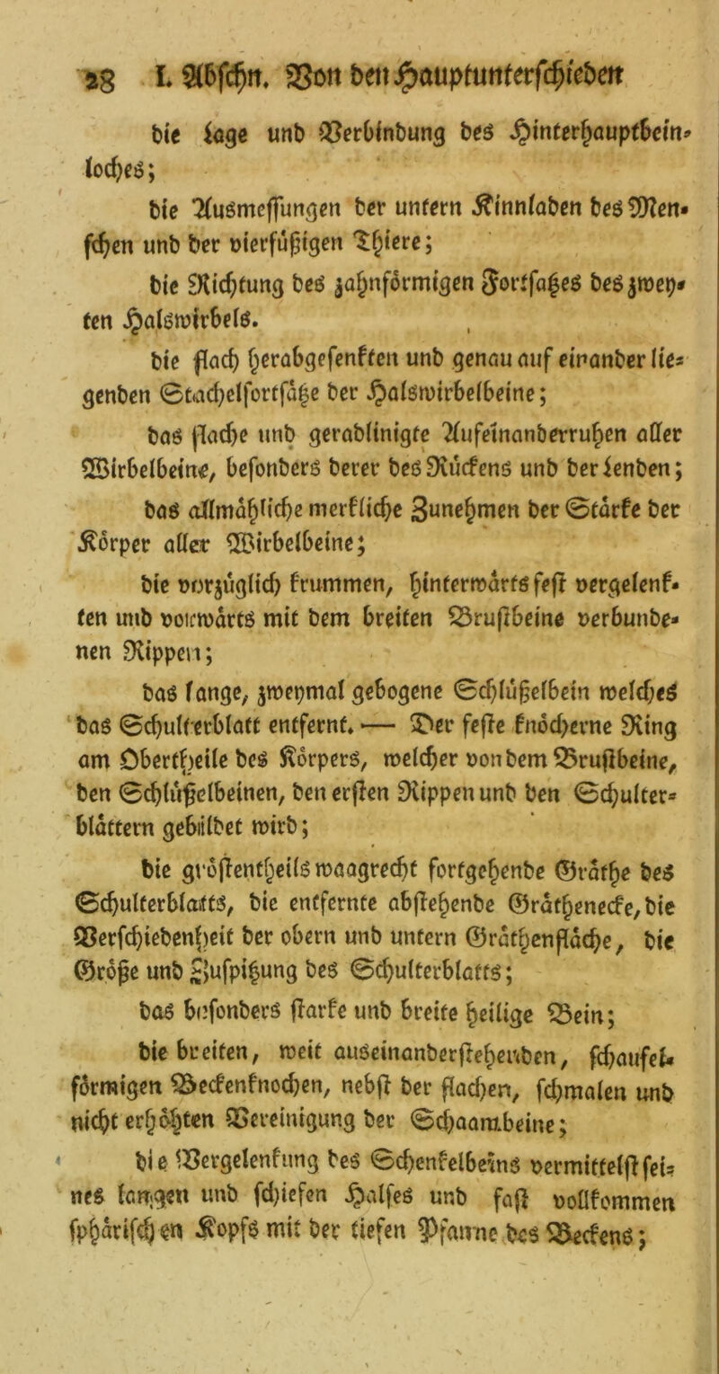 ftg La5f(^tt. ^mbrn^mptuntetf^khen bie k^e unb Q5erD(nbung beö ^inttt^aupthein> ioc^ciS; bte ^Mömeffung^n tev unfern ^innfaben beö!)[)?ert* fc^cn unb ber nierfü^igen '^§tcre; bte EKic^fung beö ja^nformt^en 5orffa|eö beö^roe^* fen JjciIötm'rSefö. bte fiad) f^erabgefenffeit unb gennumif einanberlt'es genbcn 0t<ad}cIforffa|c ber ^alöwtrbcfbet'ne; baö )lad)c unb gerabltntgte 2(ufetnanberru^en aUet SBtrbefbetne, befonbers berer beöDvucfenö unb berienben; böö ollma^ticbe merf’ftcftc 3une§men ber 0fdrfe ber '.Körper aflct ®irbe(beine; bte norjugltcb frummen, ^tnfermdrföfef! nerc^elenf- fen unb tjoirwdrtö mit bem bretfen ^ru(]betne nerbunbe- nen Dltppen; baö fange, jwepmaf gebogene 0cbtu§efbein n?cfcf;eä ‘ baö 0cbutf'crblaff enffernf* -— 3^er feffc fn6d>ernc Dttng am Obertf)d(e beö Jlorperö, mclcber nonbemS3ruflbefne, ben 0cblu5cl^>ßittcn, benerjlen Ditppenunb ben 0c^u(fer» blättern gebiilbet mtrb; bte gvojicnff^eilö maagrec^yf forfge^enbe ©rdf^e beö 0cbulferbla*tfö, bte enCfcrntc abfle^enbe ©rdt§enerfe,btc Q3erfcbieben{)ctf ber obern unb untern ©rdt^cnpdebc, bic ©roße unb 8wfpi|ung beö 0c^u(terblaffö; boö bi’fonberö flarfc unb breite ^eilige ^ein; bie breiten, meit auöeinanberfie^er<ben, fd^atifef« förmigen ^ec!cnfnocben, nebf^ ber flad)en, fcbmalen unb nidS)t cr§bluten QSereinigung ber 0cbaambeine; bie1Z?ergelenfimg beö 0cbenfclbeinö t>ermittelflfei:? neö taugen unb fd)iefen §alfeö unb fof} noüfommen fp&drif^en ^opfömit ber tiefen 9>fan-nc,beö ^efenö j