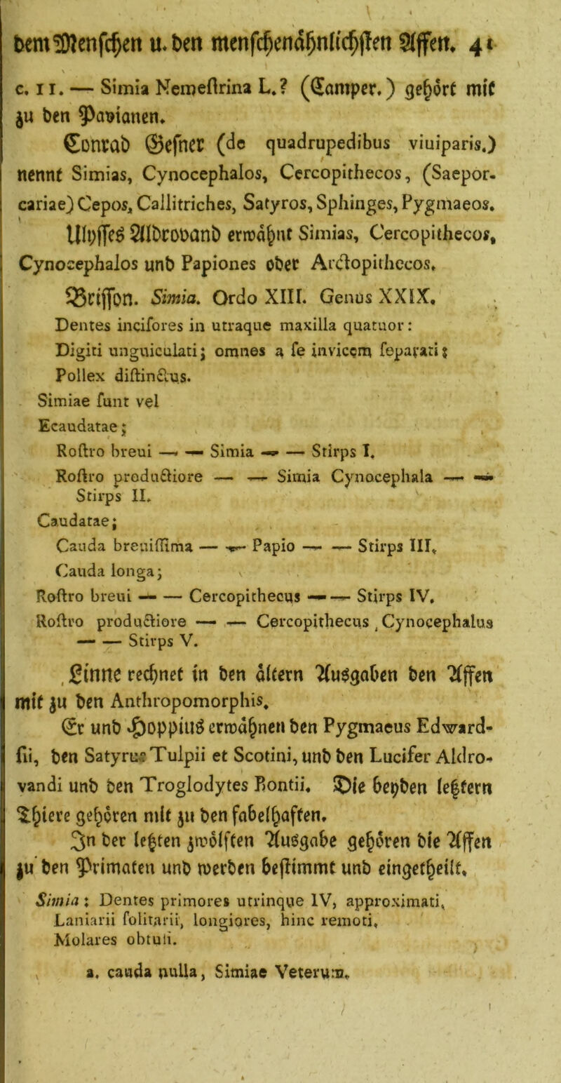\ c. II. — Simia NeiDefirina L.? ((£amper.) gehört mit ju ben 9)amancn. Convab ®cfncc (de quadrupedibus viuiparis.) nennt Simias, Cynocephalos, Cercopithecos, (Saepor. cariae) Cepos, Caiiitriches, Satyros, Sphinges, Pygmaeos. lUbfleö 2nbrobanb erroa^nt Simias, Cercopithecos, Cynocephalos unb Papiones obec Arclopithccos, 35ci(Ton. Simia. Ordo XIII. Genus XXIX, Dentes incifores in utraque maxilla quatuor: Digiti unguiculatij omnes a fe invicem fepafari} Pollex diftinÄus. Simiae funt vel Ecaudatae; Roftro hreui —. — Simia — Stirps I, Rofti-o produ£Hore — —Simia Cynacephala Stirps II. Caudatae; Cauda breuiffima — Papio — — Stirps III, Cauda longa j Roftro breui -- — Cercopithecns —Stirps IV, Roftro prodocHore — — Cercopithecus, Cynocephalus — — Stirps V. , iÜntte rechnet in ben altern 7(u$gabett ben Äffen mit JU ben Anthropomorphis. (Sr unb errod^nen ben Pygmaeus Edward- fii, ben Satyru^Tulpii et Scotini, unb ben Lucifer Aldro-» vandi unb ben Troglodytes Pontii, S^le bepben le|fcrn ‘^^tere geboren mit ju ben fobel^aften, 3n ber lebten ^moiften Äuögabc geboren bie Äffen ju ben 9^rimaten unb werben beflimmt unb cingef^eilt, Shnia: Dentes primores utrinque IV, approximati, Laniarii folitarii, longiores, hinc remoti. Molares obtuli. $ , a. caada nuUa, Simiae Veterum.