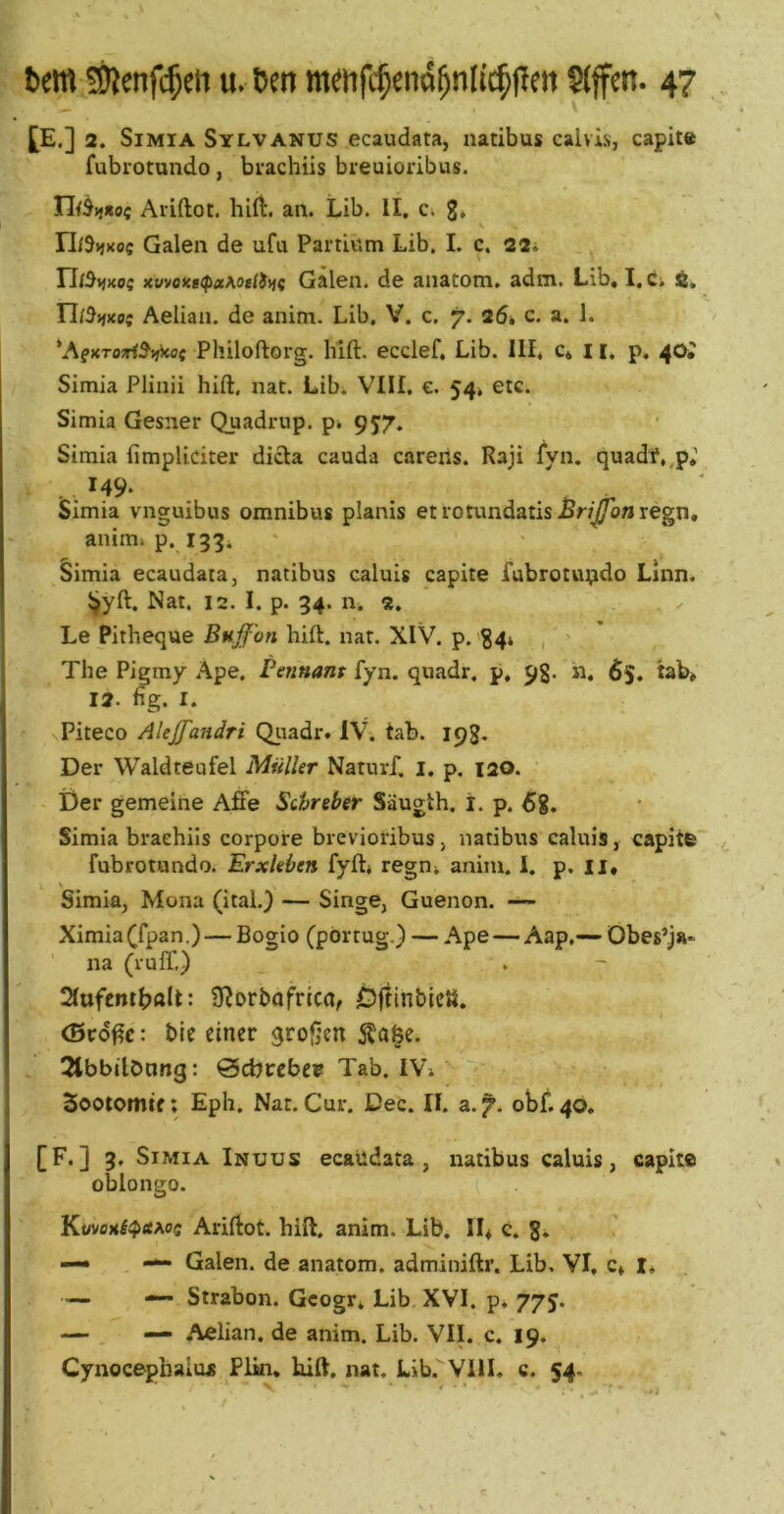 t>em Sftenfc^ett u. t)en m^hfc^ena^nl(c||len 47 £E.] 2. SiMiA Sylvanus ecaudata, aatibus caivis, capit« fubrotundo, bvachiis breuioribiis. n<5>j*oc Ariftot. hift. an. Lib. II, c. g» \ Y1i%kos Galen de ufu Partium Lib. I. c. 22i ri/5i}Ko$ xvvoice(p«Mtiiifi Galen, de anatom. adtn. Lib, 1, C; ri/^jjxo; Aelian. de anim. Lib. V. c. 7. 26* c. a. 1. ’AfXTOTf^^jkof Philoftorg. luft. ecclef, Lib. III. c, 11, p, 40; Simia Plinii hift. nat. Lib. VIII, e. 54. etc. Simia Gesner Quadrup, pi 957. Simia fimplidter dicla cauda careris. Raji fyn. quadf,,p,’ .,149- , . Simia vnguibus Omnibus planis et votxindatis BriJJonxegn, anim» p. 133. Simia ecaudata, natibus caluis capite Tubrotit^do Llnn. 5jyft. Nat. 12. I. p. 34. n. 2. Le Pitheque Buffon hift. nat. XIV. p. §4* , The Pigmy Ape. Painant fyn. quadr. p, 9g. n. 65. tab* 12. hg. I. Piteco Atejfandri Qiiadr. IV. tab. 19g, Der Waldteufel Müller Naturf. i. p. 120. Der gemeine Affe Sehr eher Säugih. i. p. 68. Simia braehils corpore brevioribus, natibus caluis, capitfe fubrotundo. Erxleben fyft» regn. anim. I. p. ii, Simia, Mona (ital.) — Singe, Guenon. — Ximia(fpan.) — Bogio (portug.) — .<\pe — Aap,—- Obes’j»- na (rulT.) 2Iufcntbflll: 9^orbofrica, OftinbicU. (Bcd^c: bie einer großen S?a|e. 2tbbilötmg: ©ebrebep Tab. IVi Sootomie; Eph. Nat. Cur. Dec. II. a.7. obf. 40. [F.] 3, Simia Inuus ecaüdata , natibus caluis, capite oblongo. Kt/vflx^i?ÄAoc Ariftot. hift. anim. Lib. IL e. g. —• Galen, de anatom, adminiftr. Lib, VI, c» l. — — Strabon. Geogr. Lib XVI. p. 775. — — Aelian. de anim. Lib. VII. c. 19.