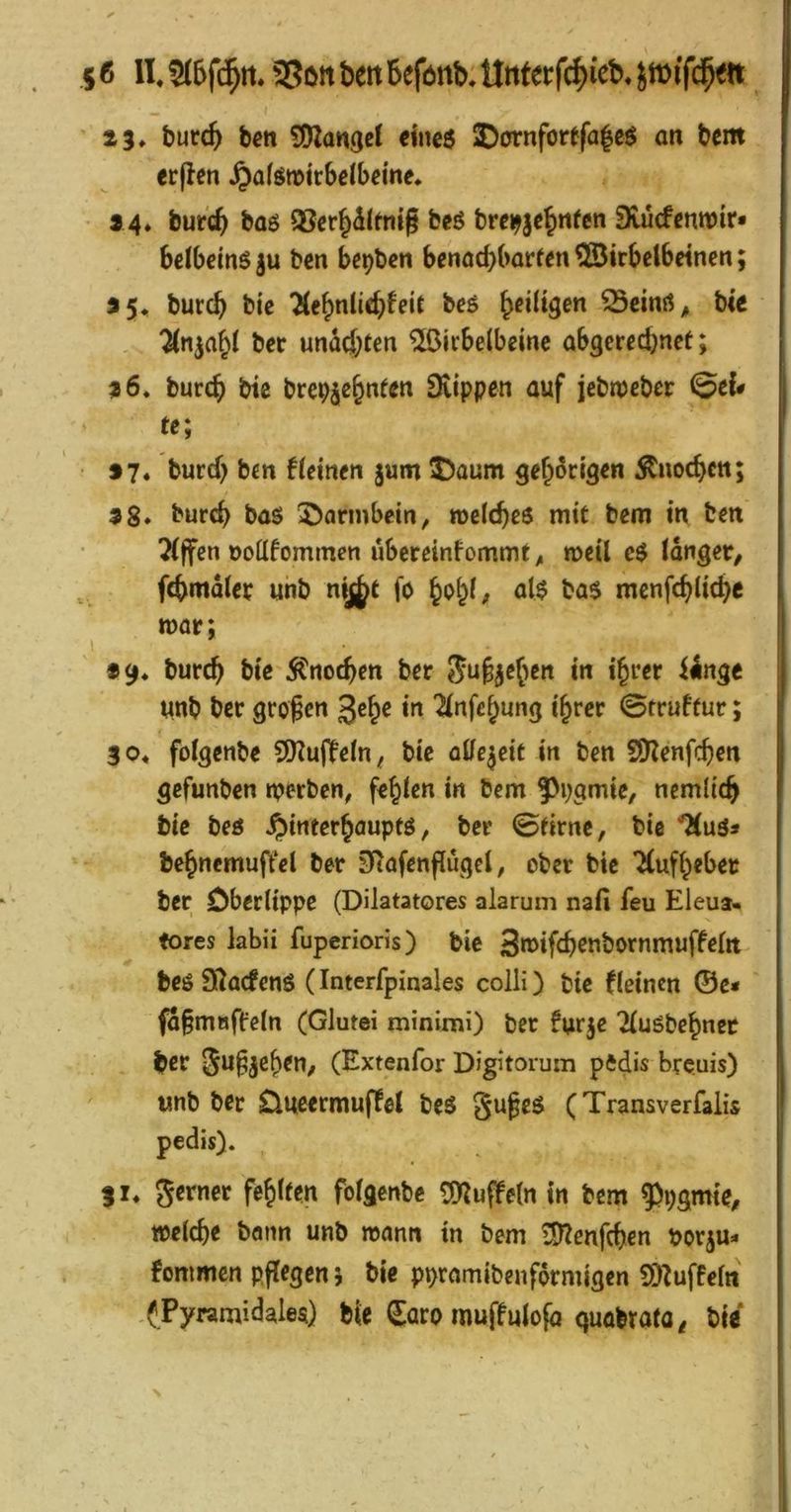 ’ 23, burc^ ben tJOlangel dne$ SDornfortfalcö an bcm erflen ^afömirSclbcme, 2 4* burc^ baö 93cr|dlfnig bcö brcj^jc^nfen 3vücfenn)ir* belbeinS ju bcn be^ben benad)borfen ©irbclbdncn; 25, burcb bic TCe^nlicb^eif bcö beiltgen 35cmß^ bic ber unM^ten ^irbelbeine abgcrccfenet; 26. burcb bte brebje&ntßn Diippen ouf jcbwebßi: te; t 97* burcf) bm flettwn jum 3)aum 5^«ocbctt; 28* burcb bas Darmbein, weidjes mit bem in bm ?(ffen Dottfommen ubereinfommt, mcil cS (dn^er^ ^ fcbmdUp uhb nij^t fo al$ ba$ mcnfcblicbc mar; 29, burc^ bie 5Cnocbcn ber 5u§3c(«n in i^rer iingc nnb bcc großen gc^e in 2(nfc^ung i^rcr 0truftur; 30, fofgenbe 9Ku|Te(n^ bic a0e|eit in ben SÜ^enfeßen gefunben rperben^ febien in bem f>pgmtC/ nemlicb bic bcs ^interbaupfs, ber 0Hrnc, bic '7(us» bebnemuftei ber DIafcnflugcl, ober bic 7(ufb«i>«c ber Dbcrlippc (Düatatores alarum nafi feu Eleut* fores labü fuperioris) bic Smifcbcnbornmuffern bcS ülacfenS (Interfpinales colli) bic ((einen ©e* fdßmaffeln (Glutei minimi) ber furje TiuSbebner ber (Extenfor Digitorum pftdis breuis) wnb ber £lucermuf(ei beS gußes (Transverfaiis pedis). f I, fehlten folgenbe Muffeln in bem ?)pgmiC/ tpcicbe bann unb mann in bem lO^enfcben borju« fommen pßegcnj bic ppramibenfdrmigcn SDZuffefn (Pyramidales) bic €aro muffulofd quabtafa^ biö